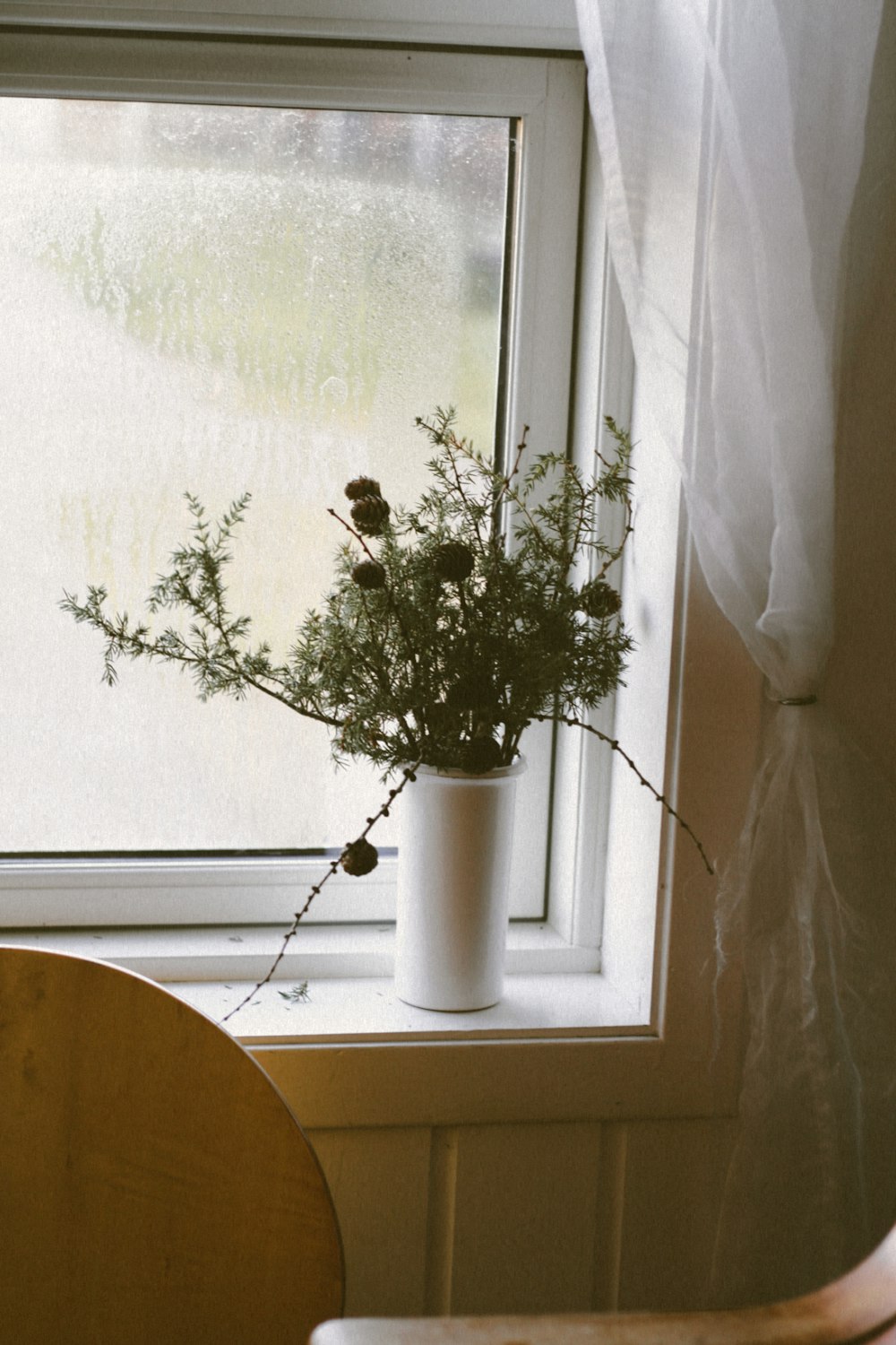 Un jarrón de flores sentado en el alféizar de una ventana