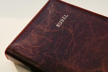 A close-up view of a leather-bound book with the word 'BIBEL' embossed in white on the cover. The book has a textured, slightly worn appearance and is resting on a light-colored surface that casts gentle shadows.