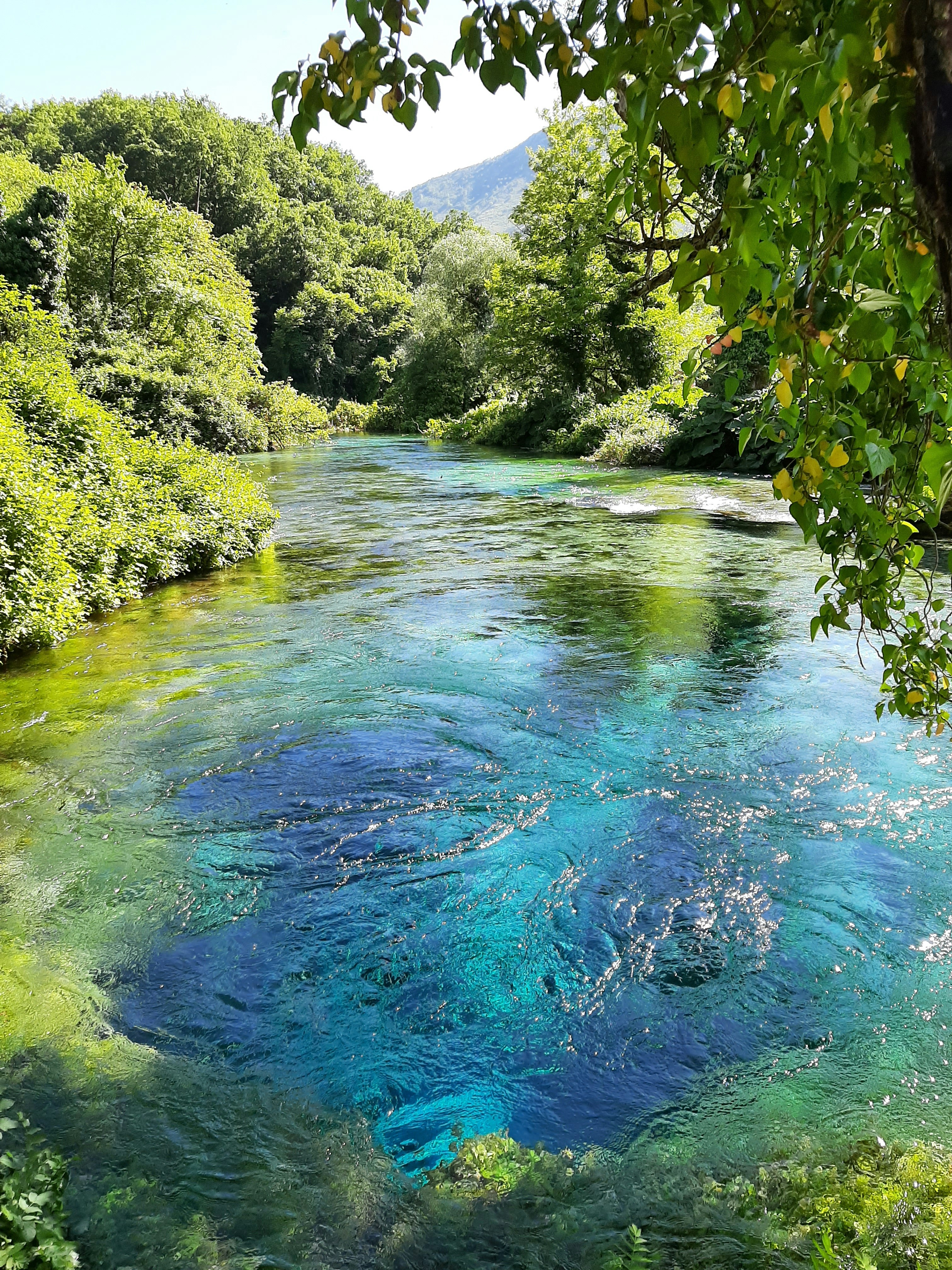 Photo by carlaforgiven