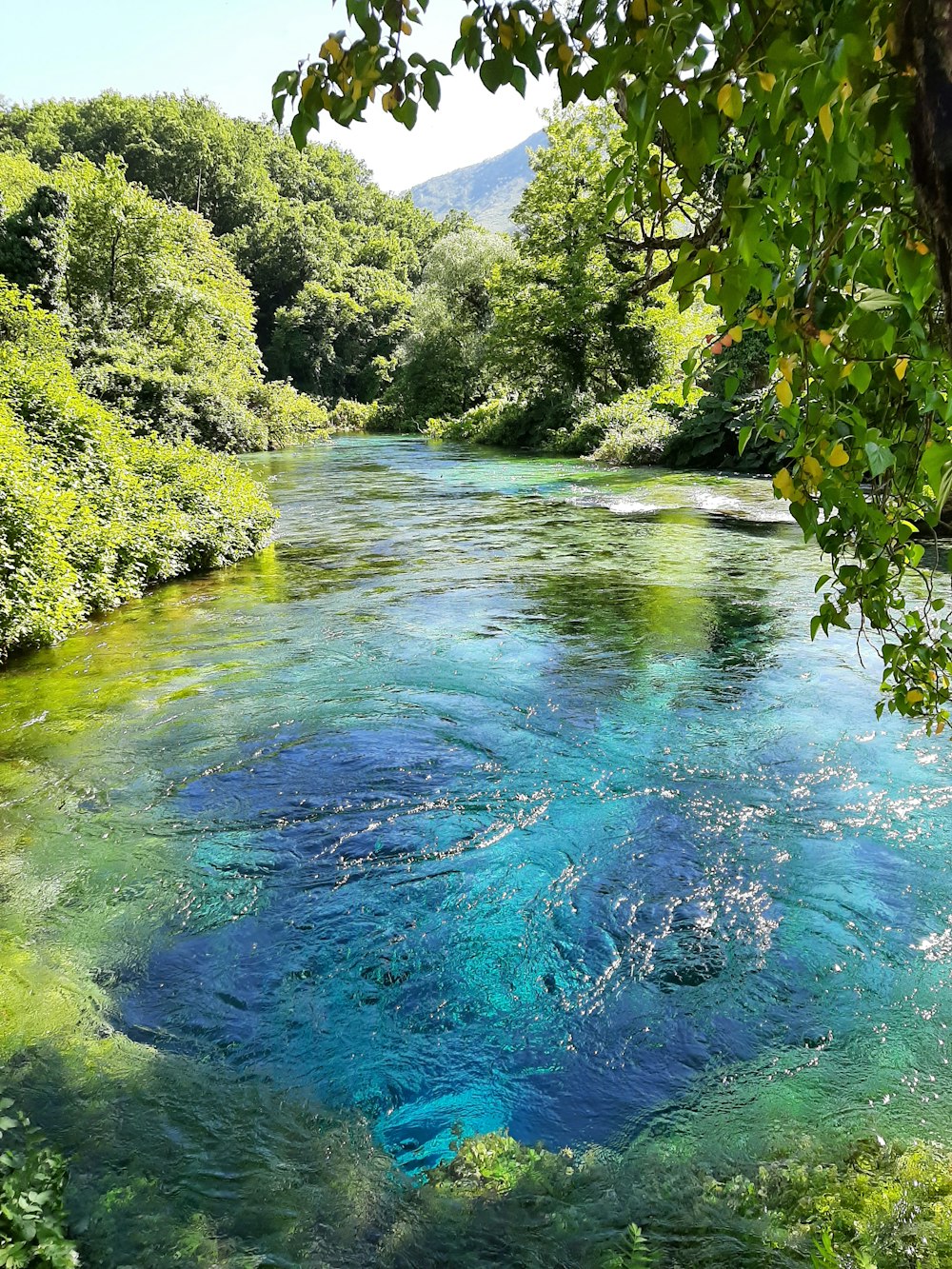 a river with blue water surrounded by trees