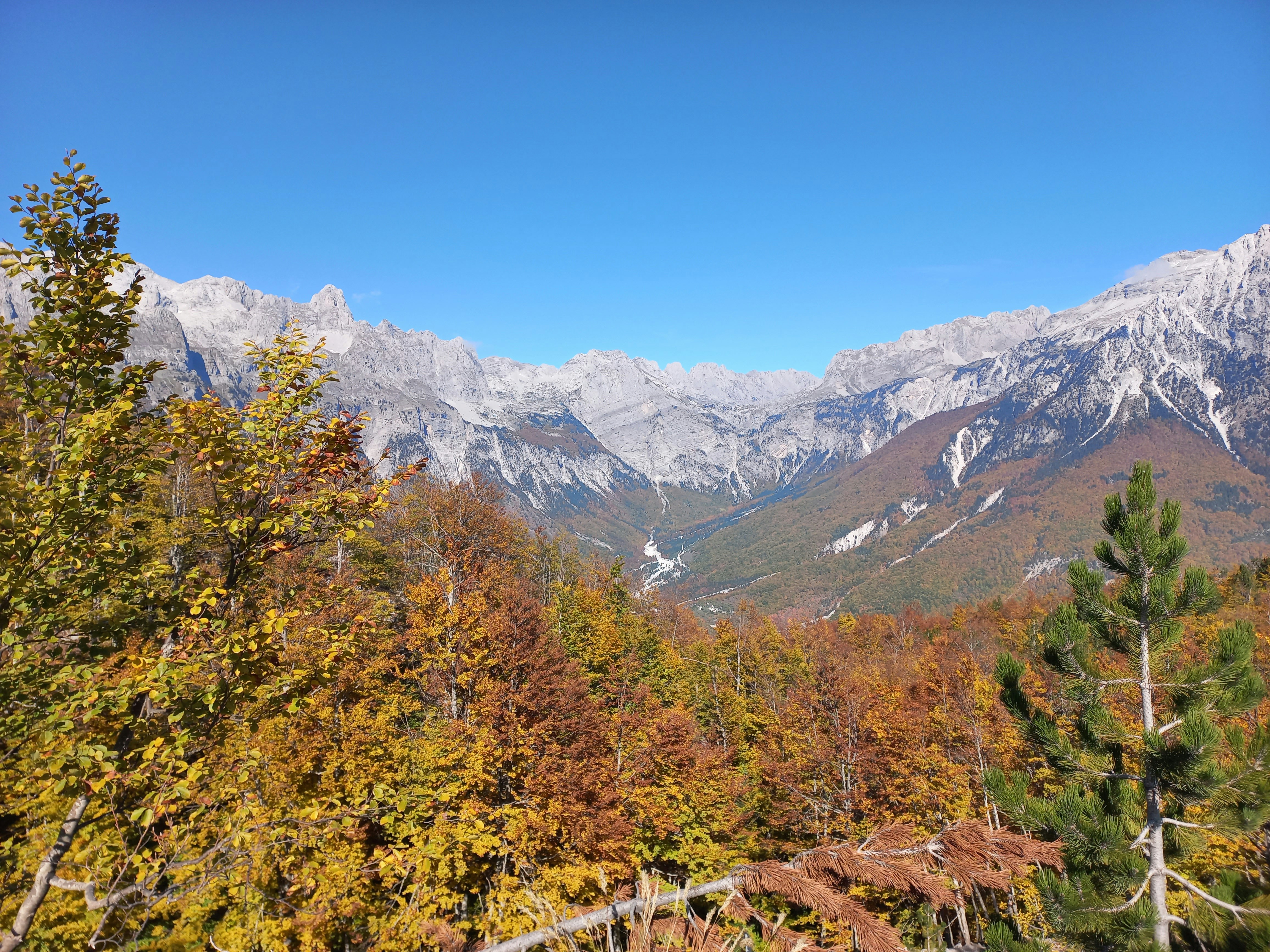 Theth – Food & Dining Culture