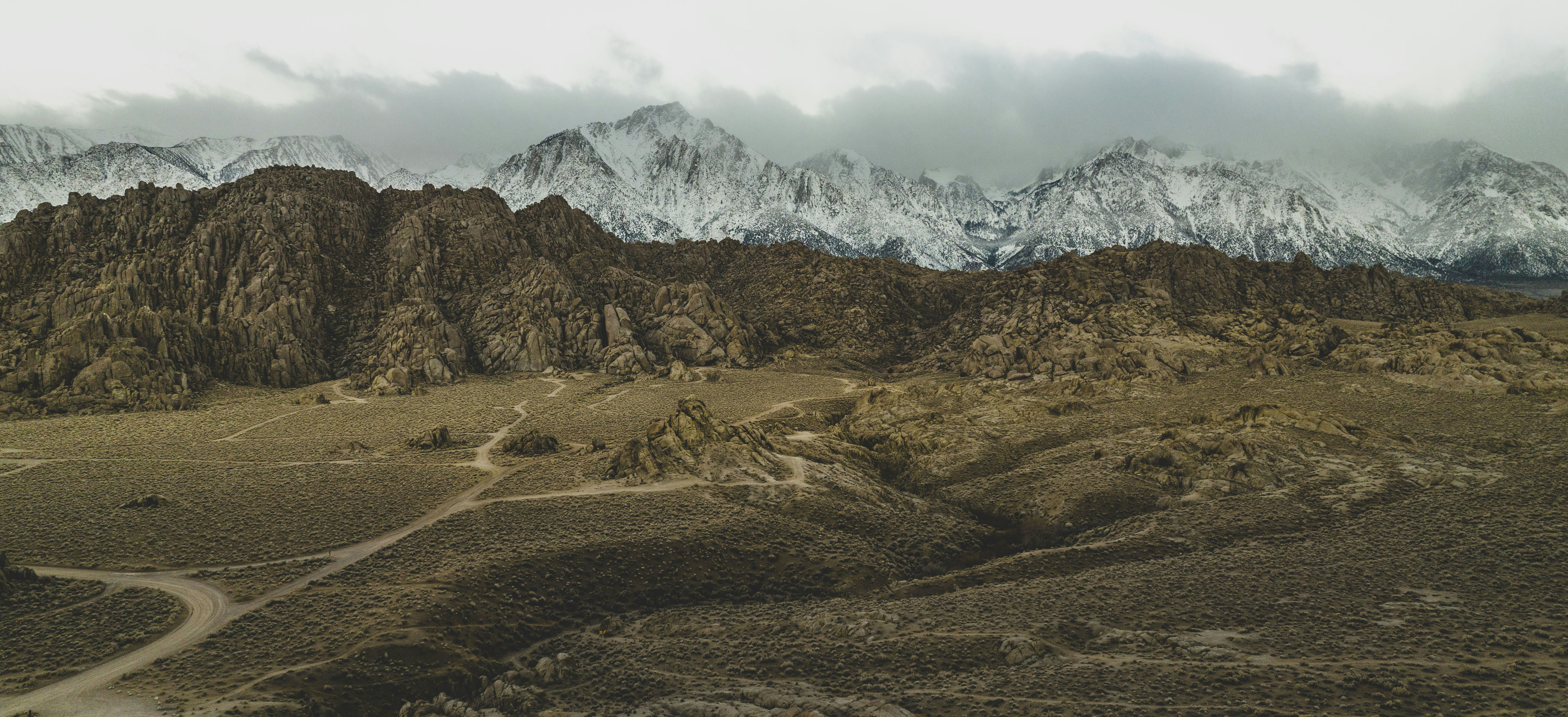 Photo by leo_visions_