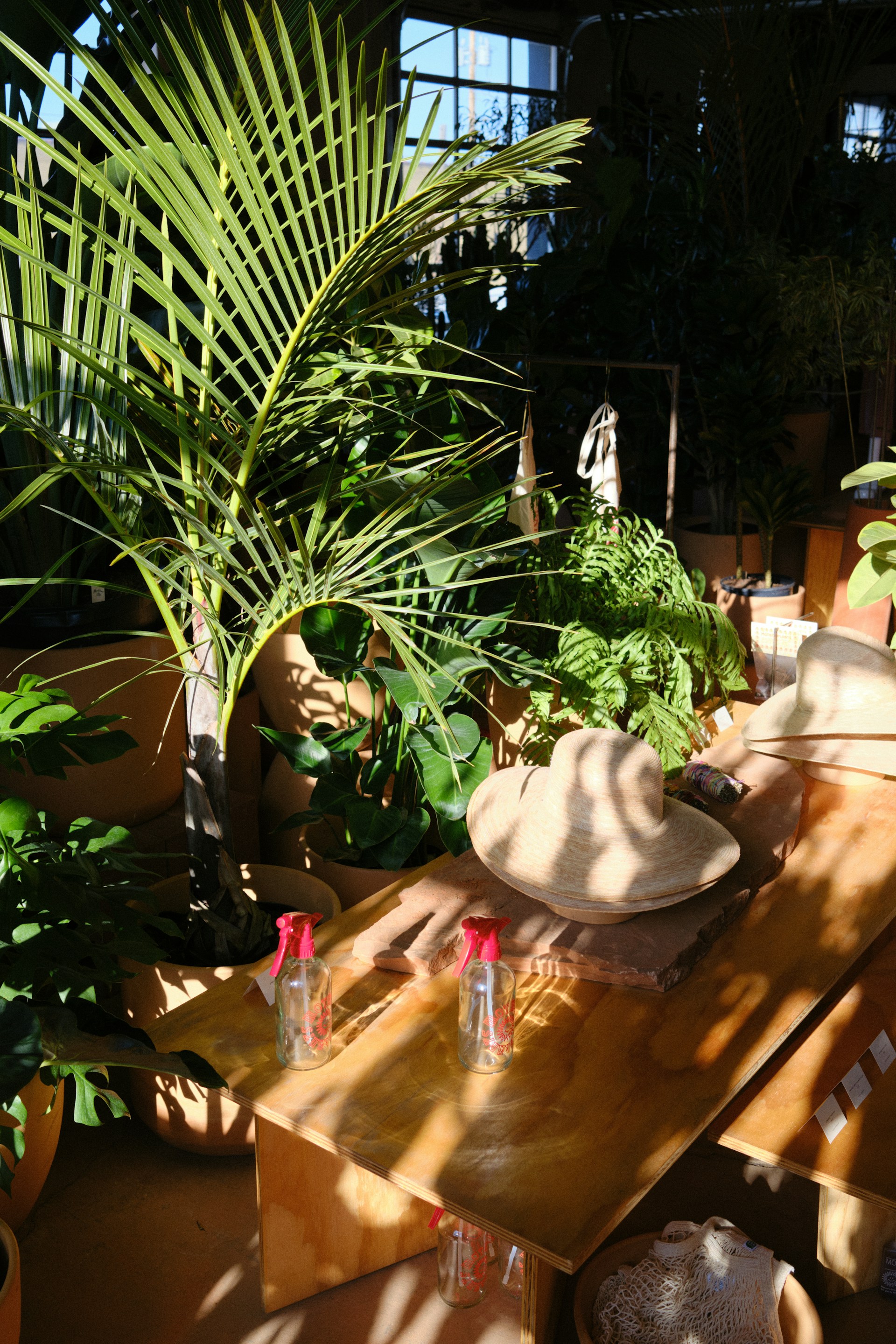 a wooden table topped with lots of plants