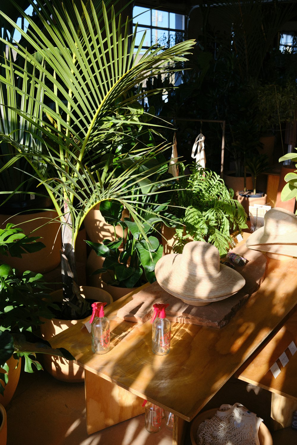 a wooden table topped with lots of plants