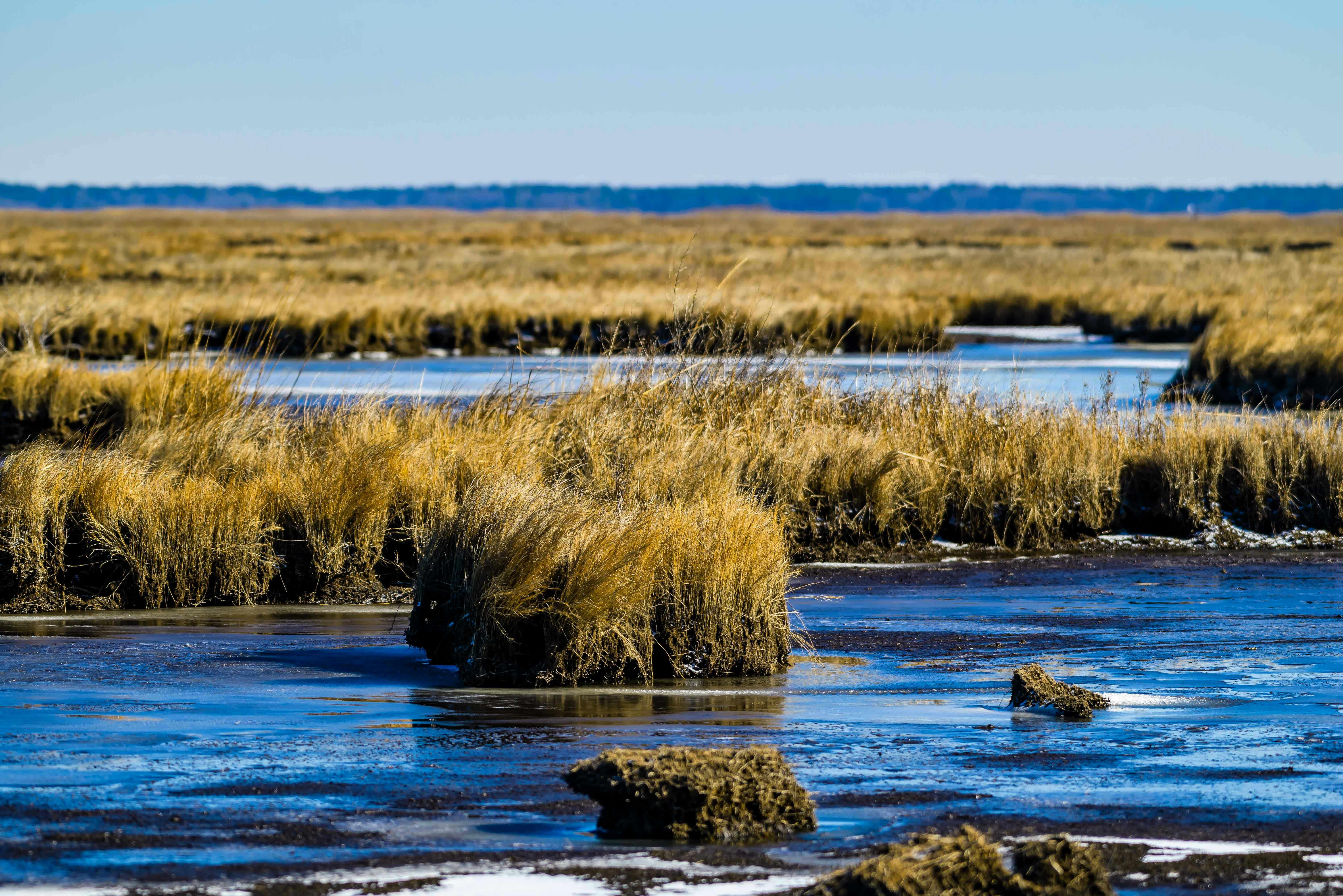 Photo by naveensnaidu25