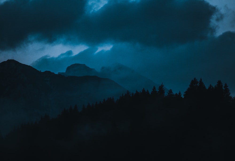 a dark blue sky with clouds and trees