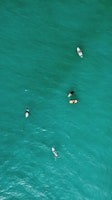 a group of people riding surfboards on top of a body of water
