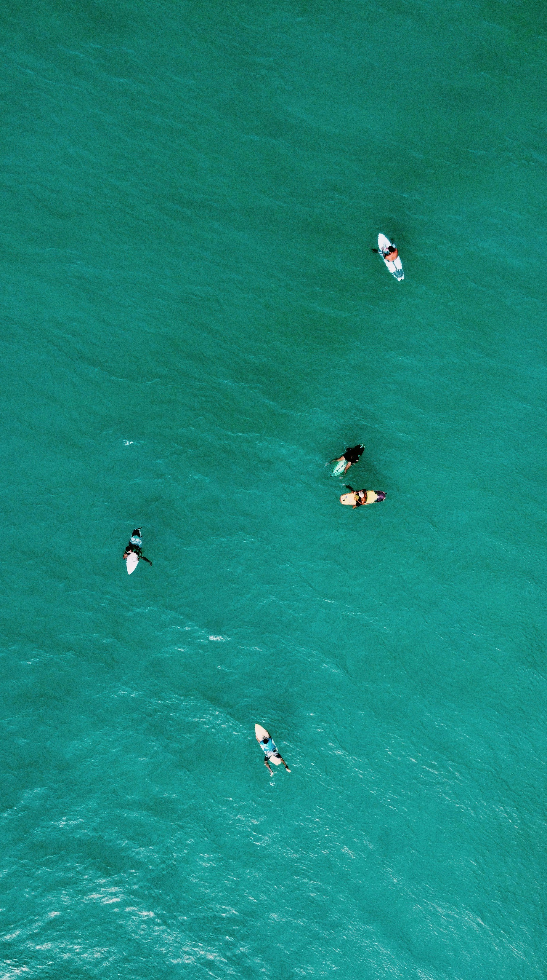 Kayakers enjoying a sunny day on the sea