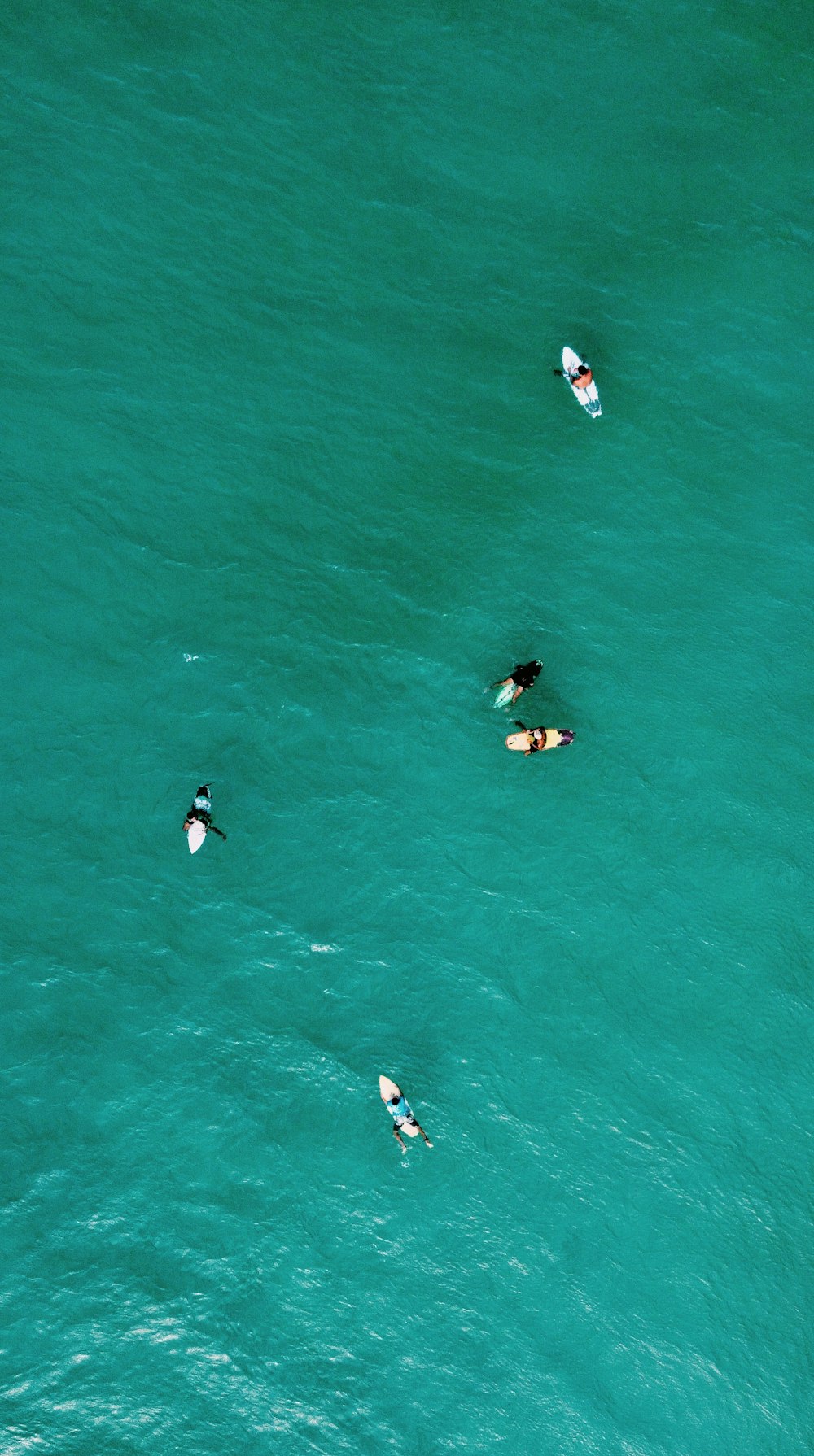 a group of people riding surfboards on top of a body of water