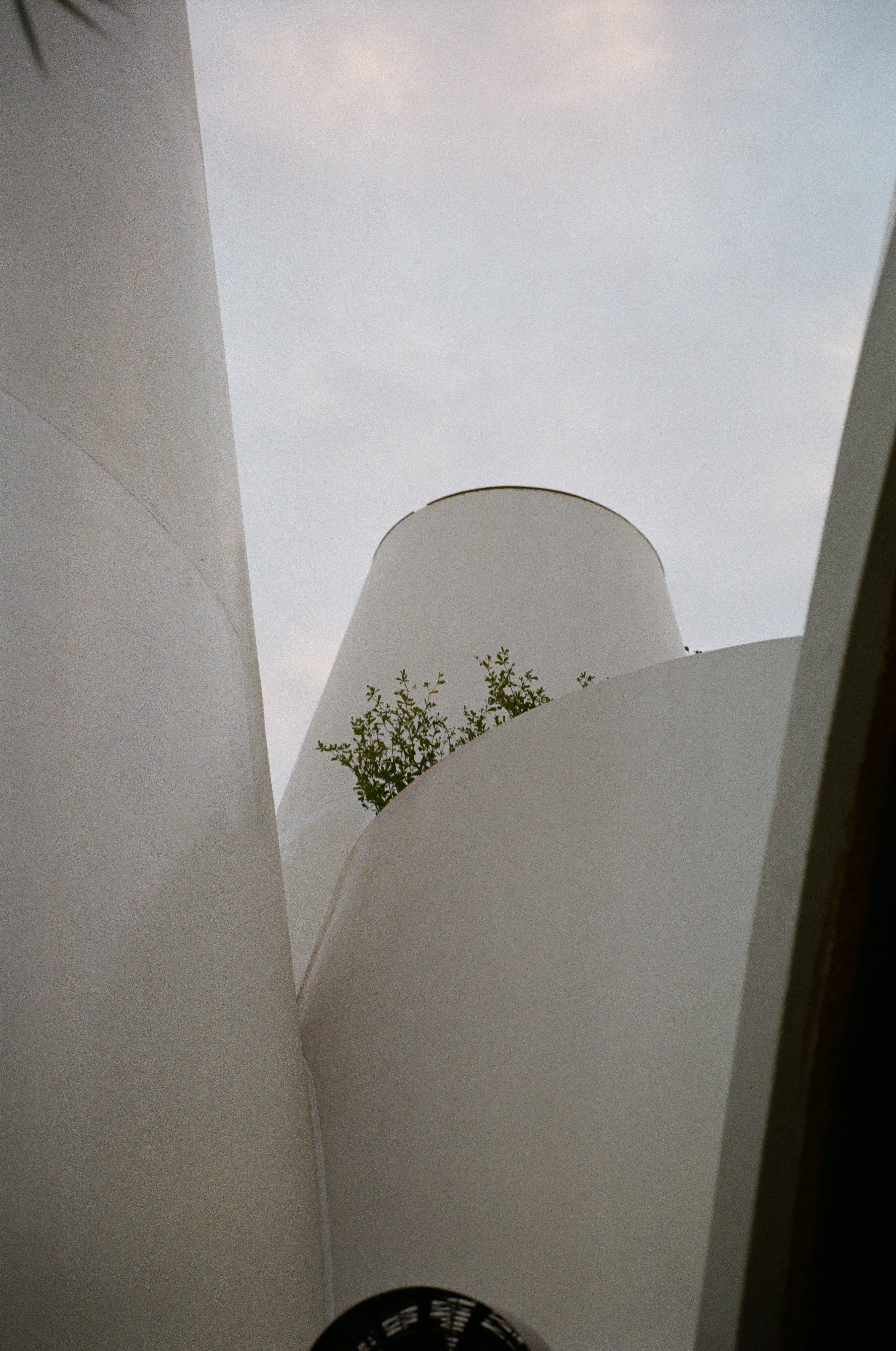 a tall white building with a plant growing out of it