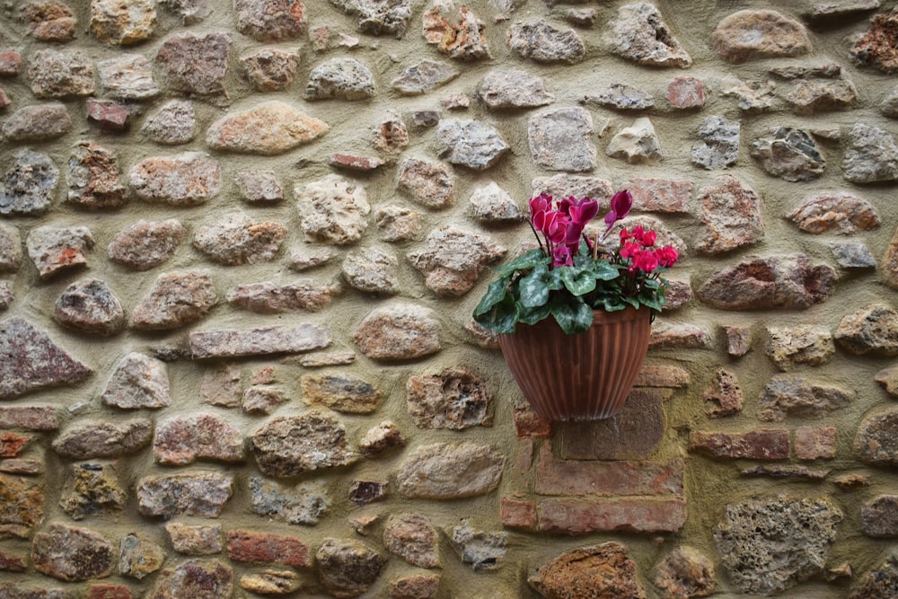 a vase of flowers on a brick wall
