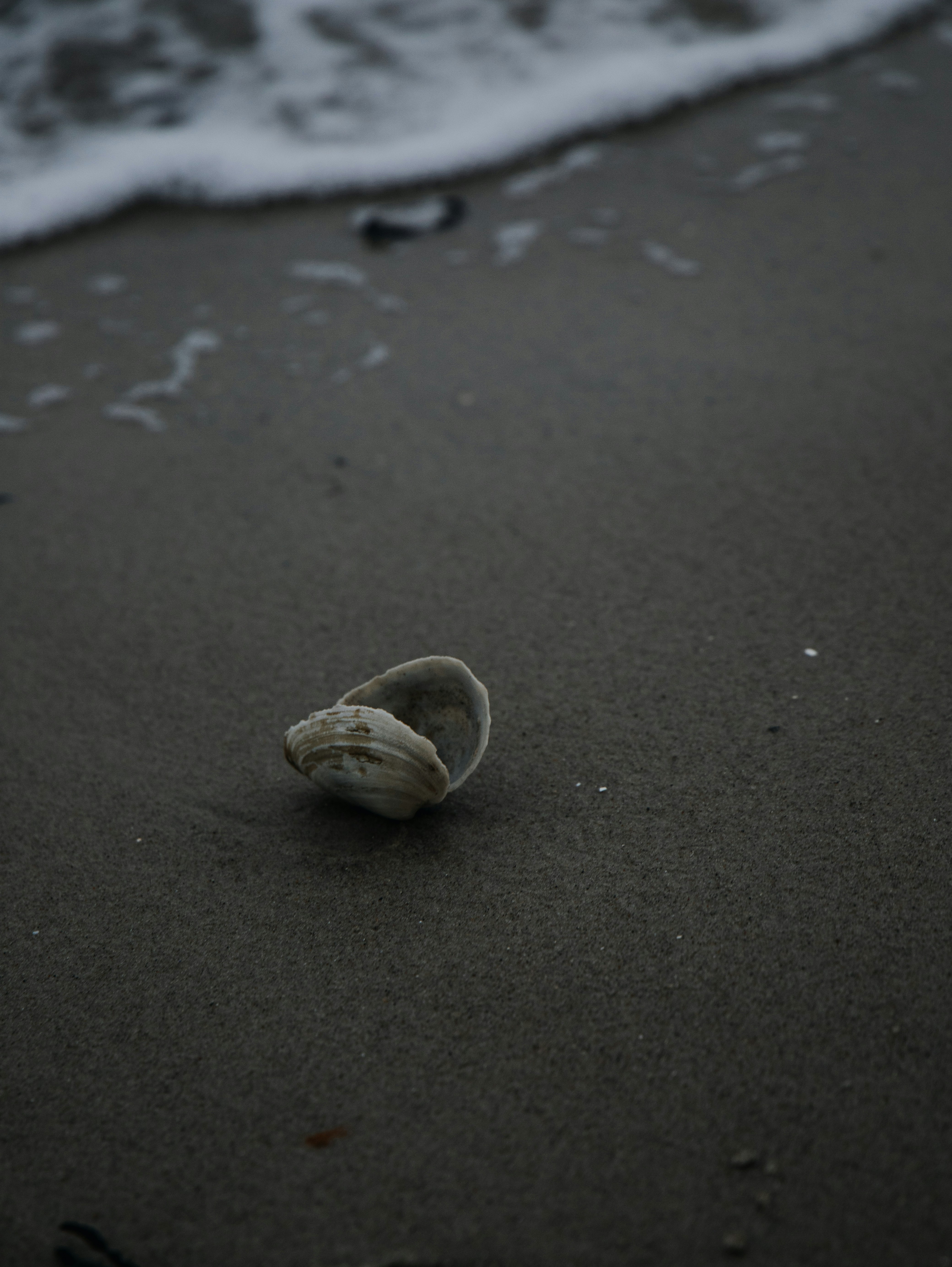 Photo by katharina_bill