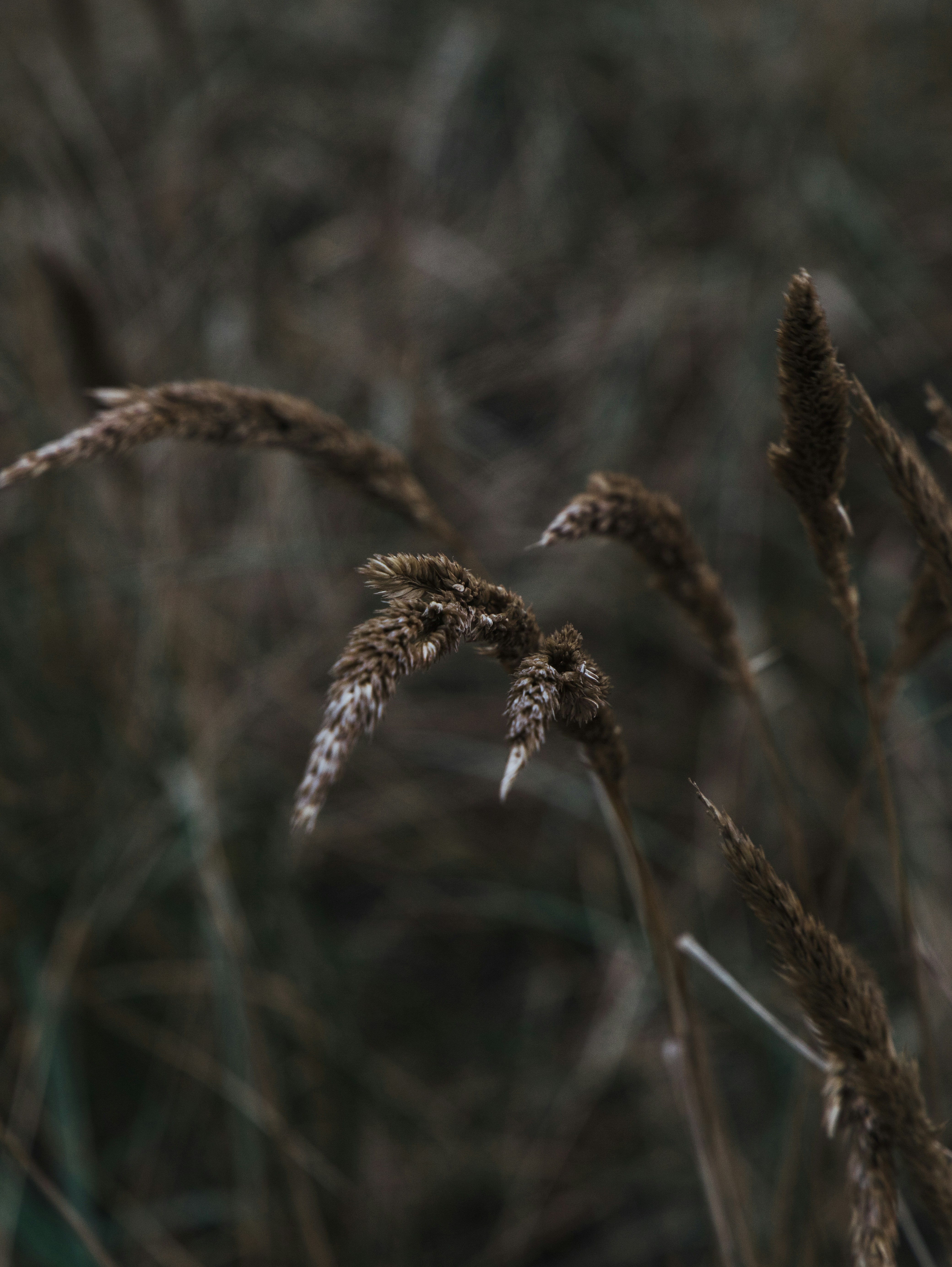 Photo by katharina_bill