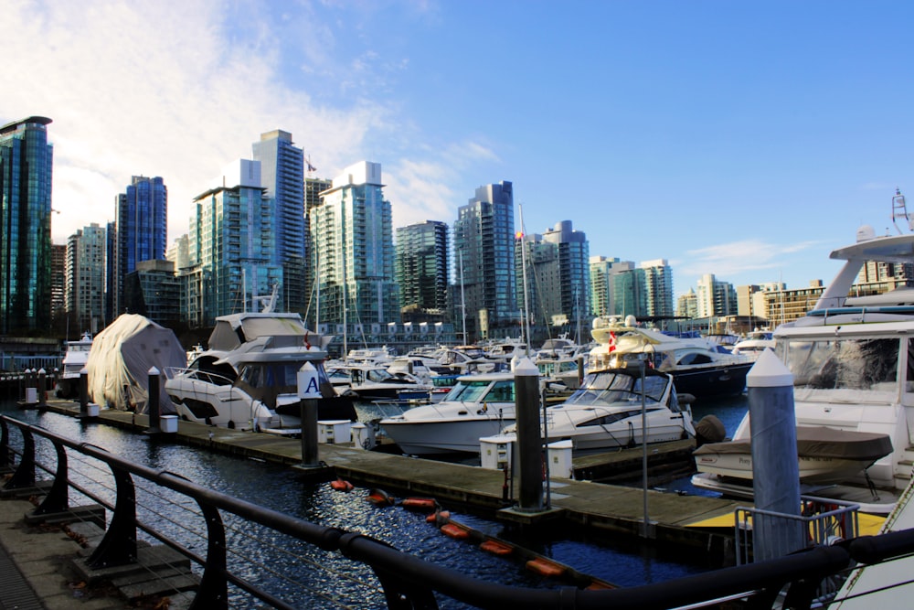 a marina with many boats docked in it