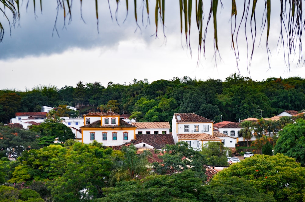 a view of a city with trees and buildings