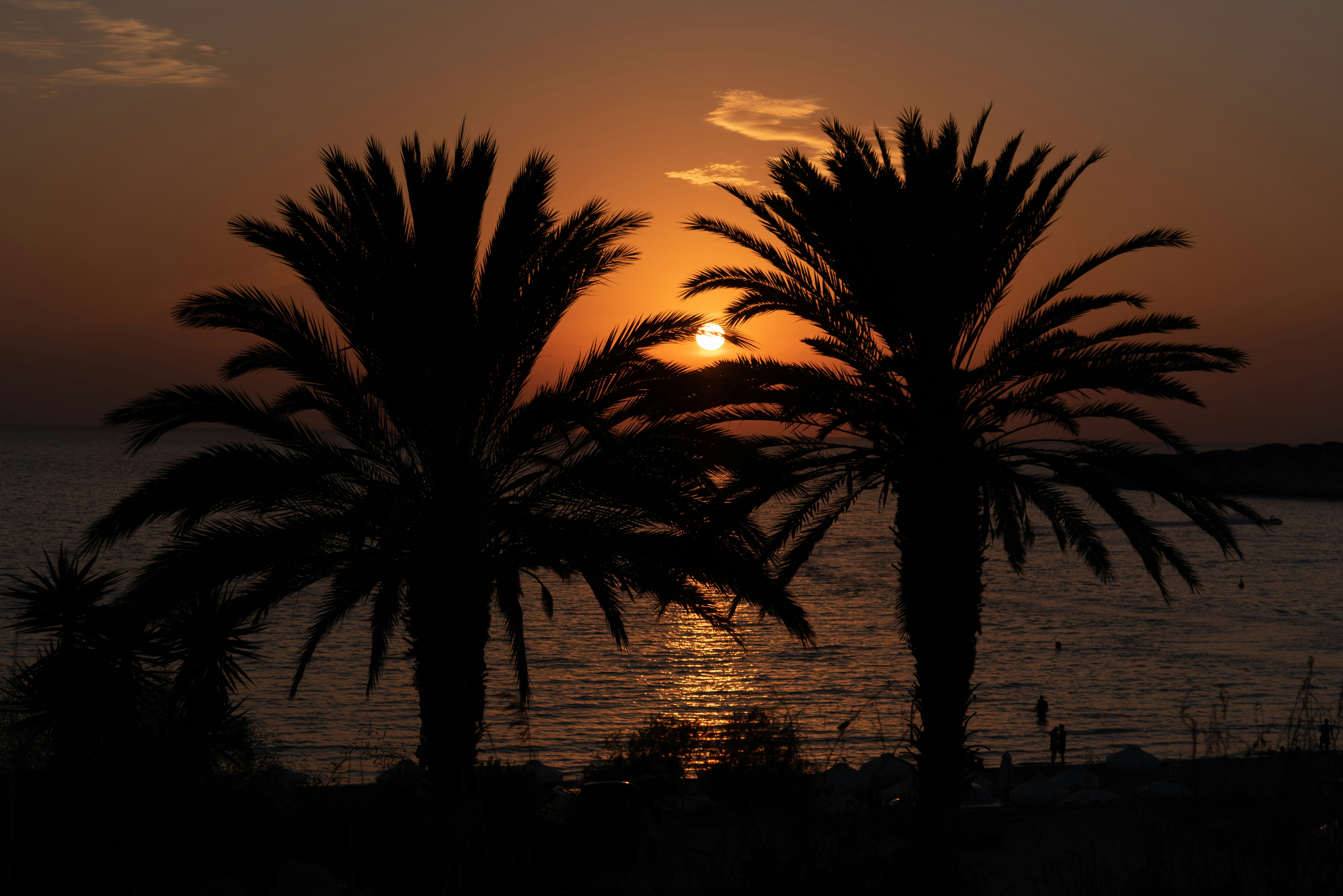 El sol se está poniendo detrás de dos palmeras
