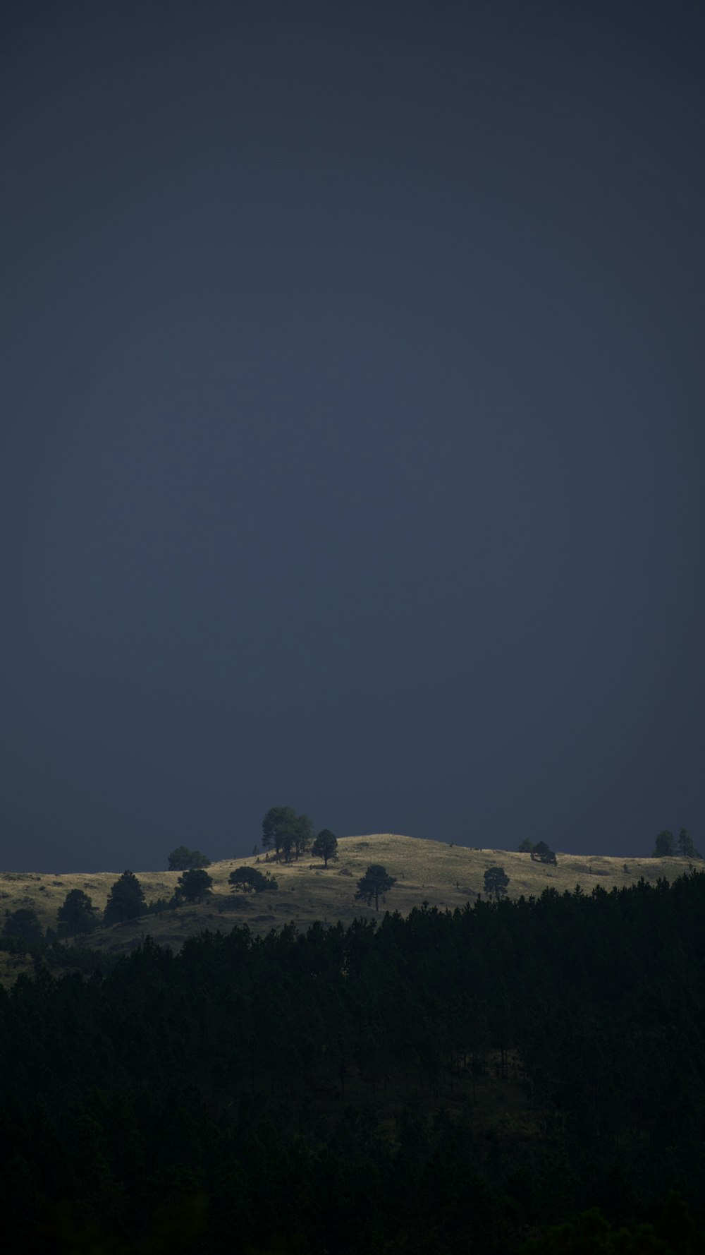 a hill with trees on it under a dark sky