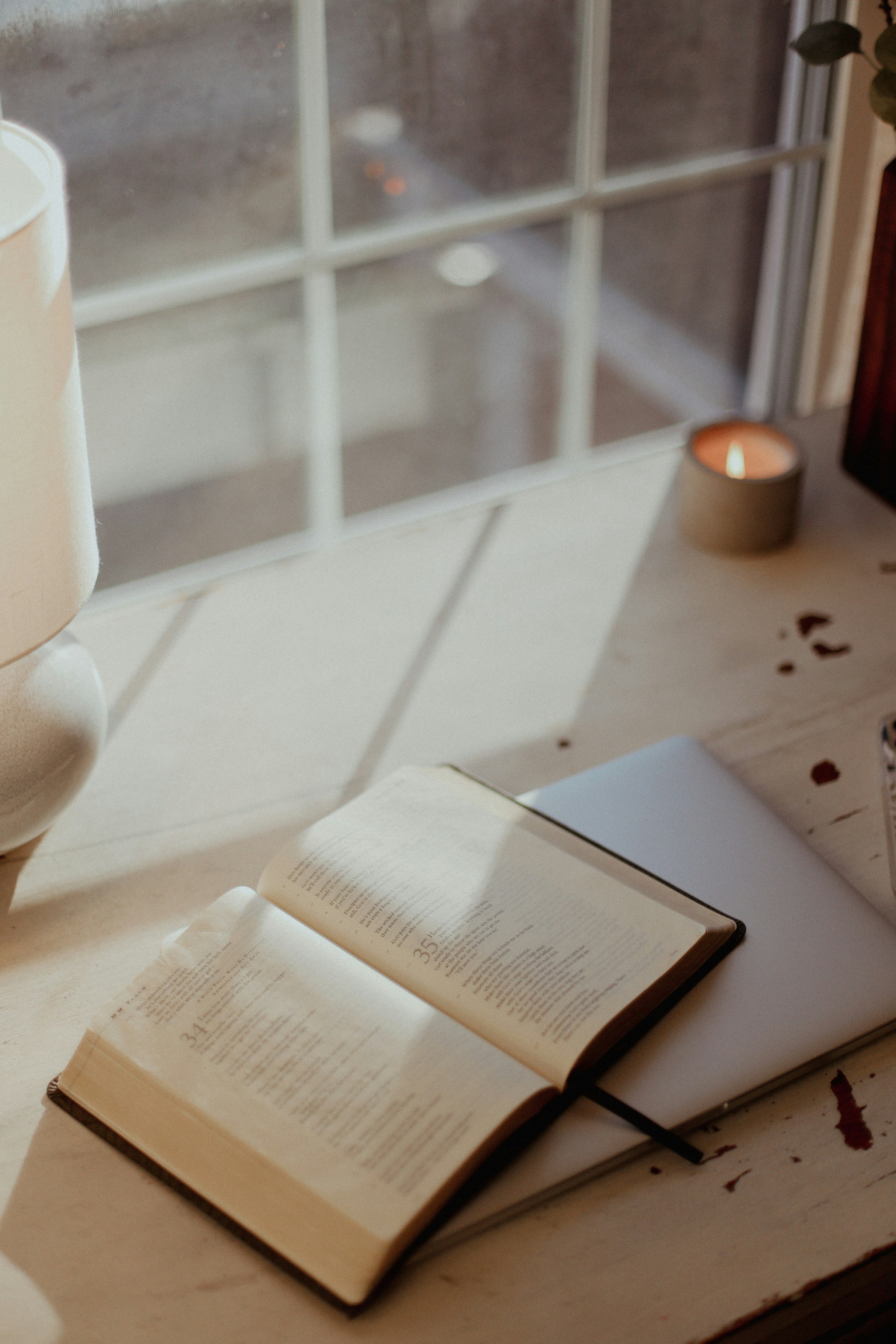 Photo by jessicalfadel