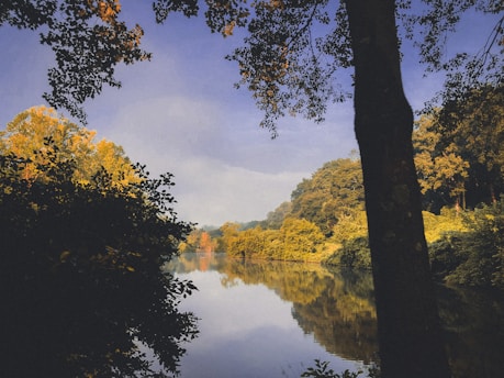 A serene landscape featuring a calm lake surrounded by lush greenery, symbolizing peace and mental clarity.