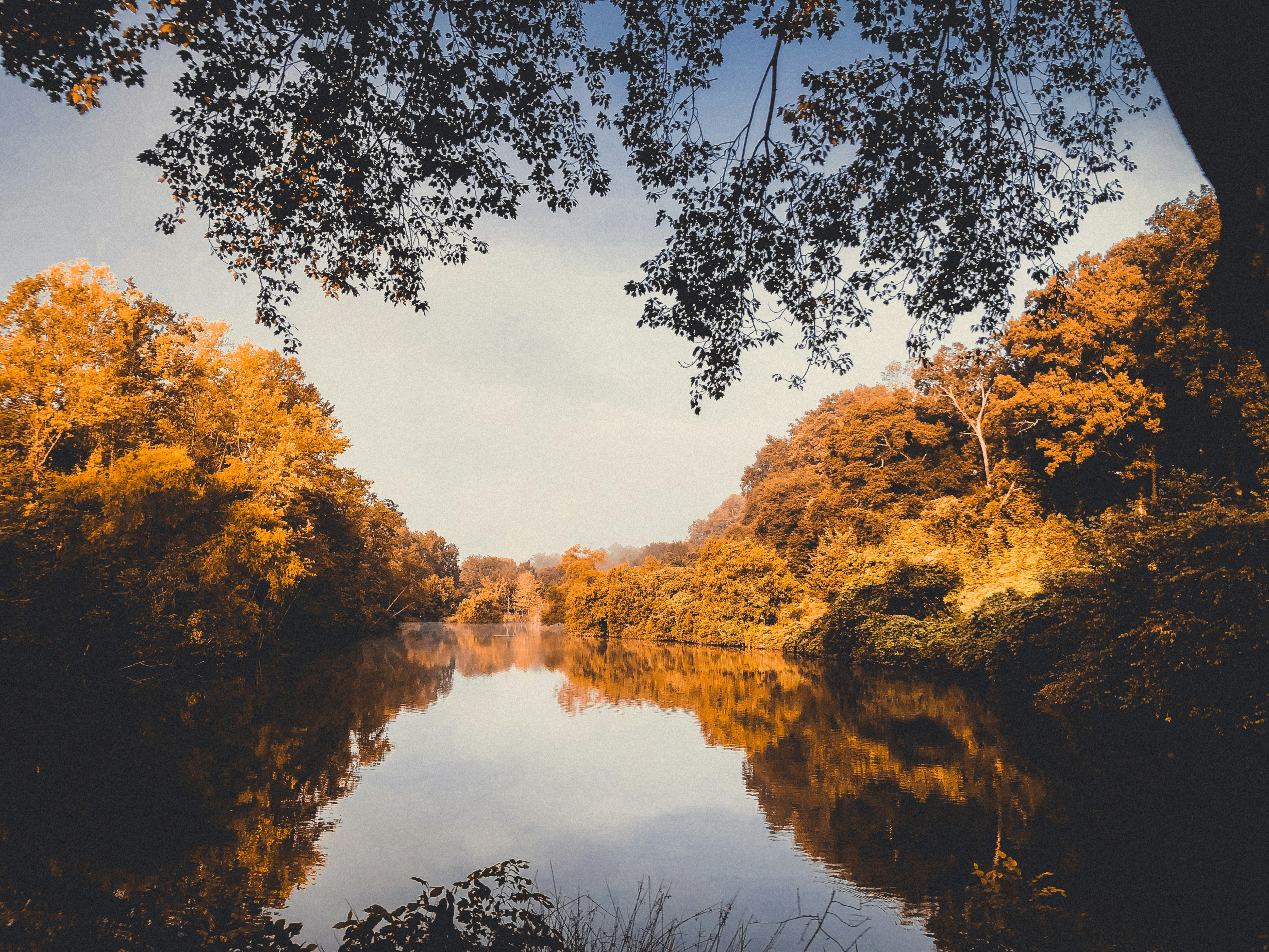 Photo by jpetersbydesign