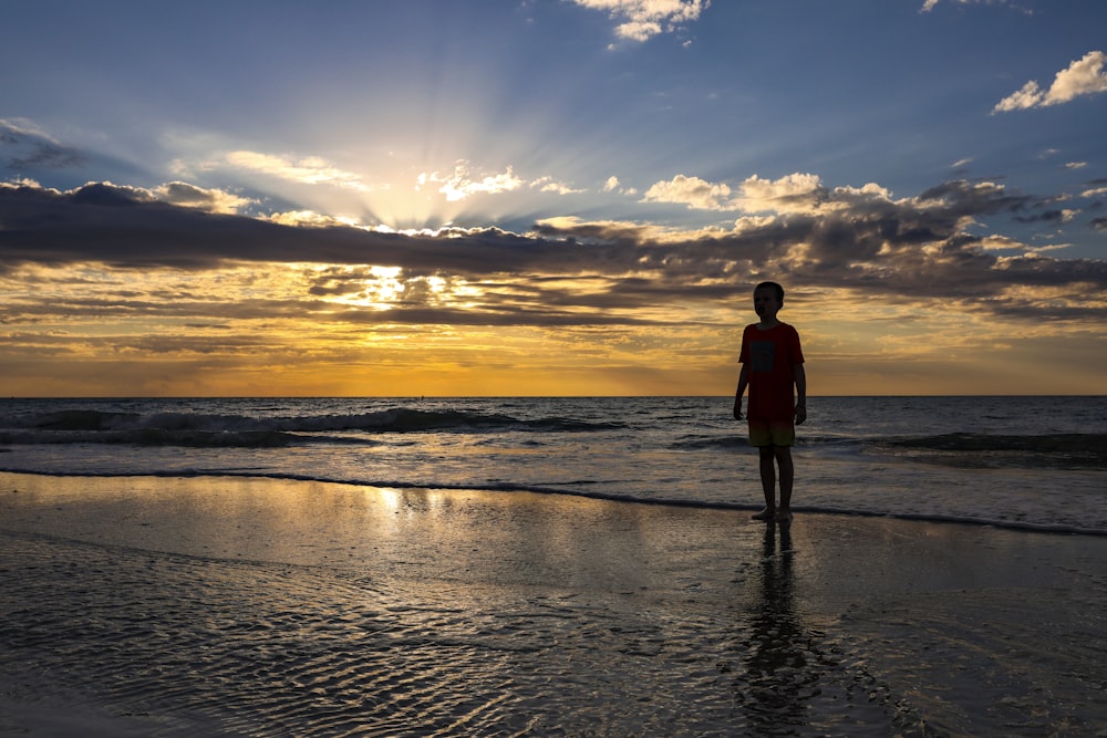 a person standing on a beach near the ocean
