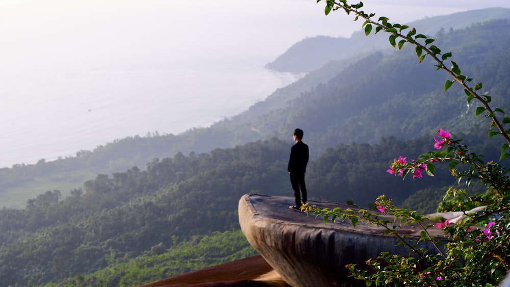 a man standing on top of a cliff overlooking a valley