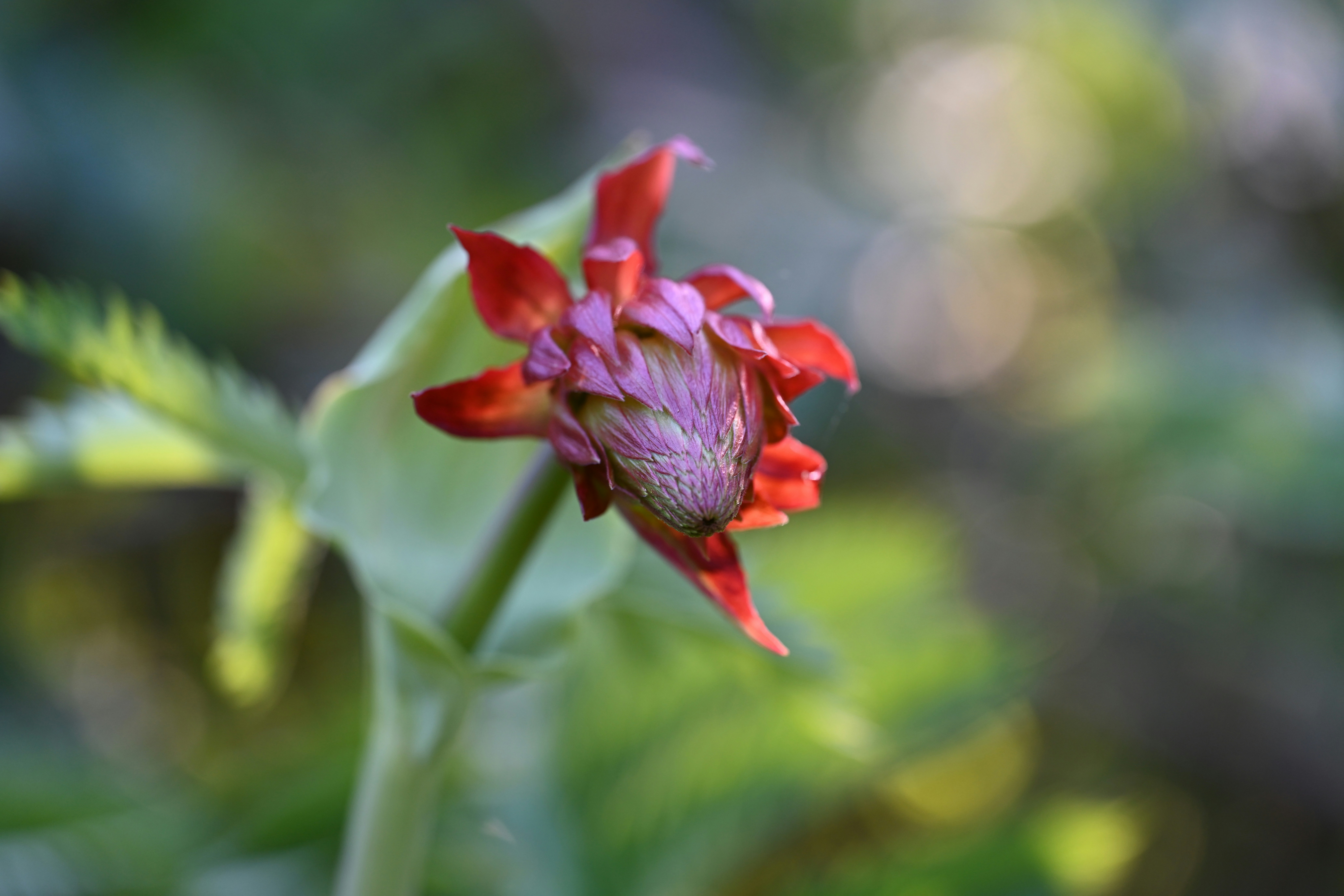 Photo by theunknownaldiaz