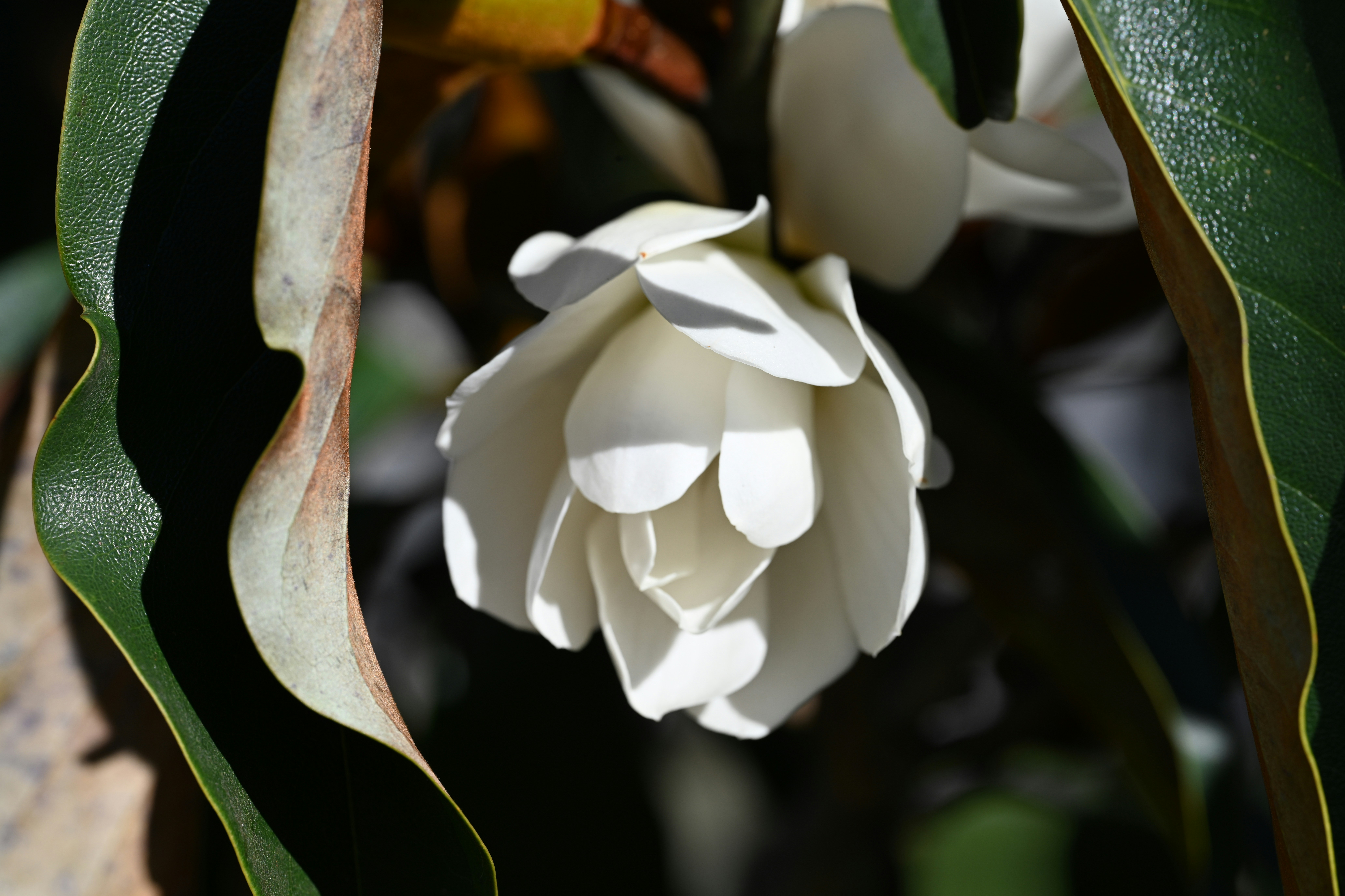 Photo by theunknownaldiaz