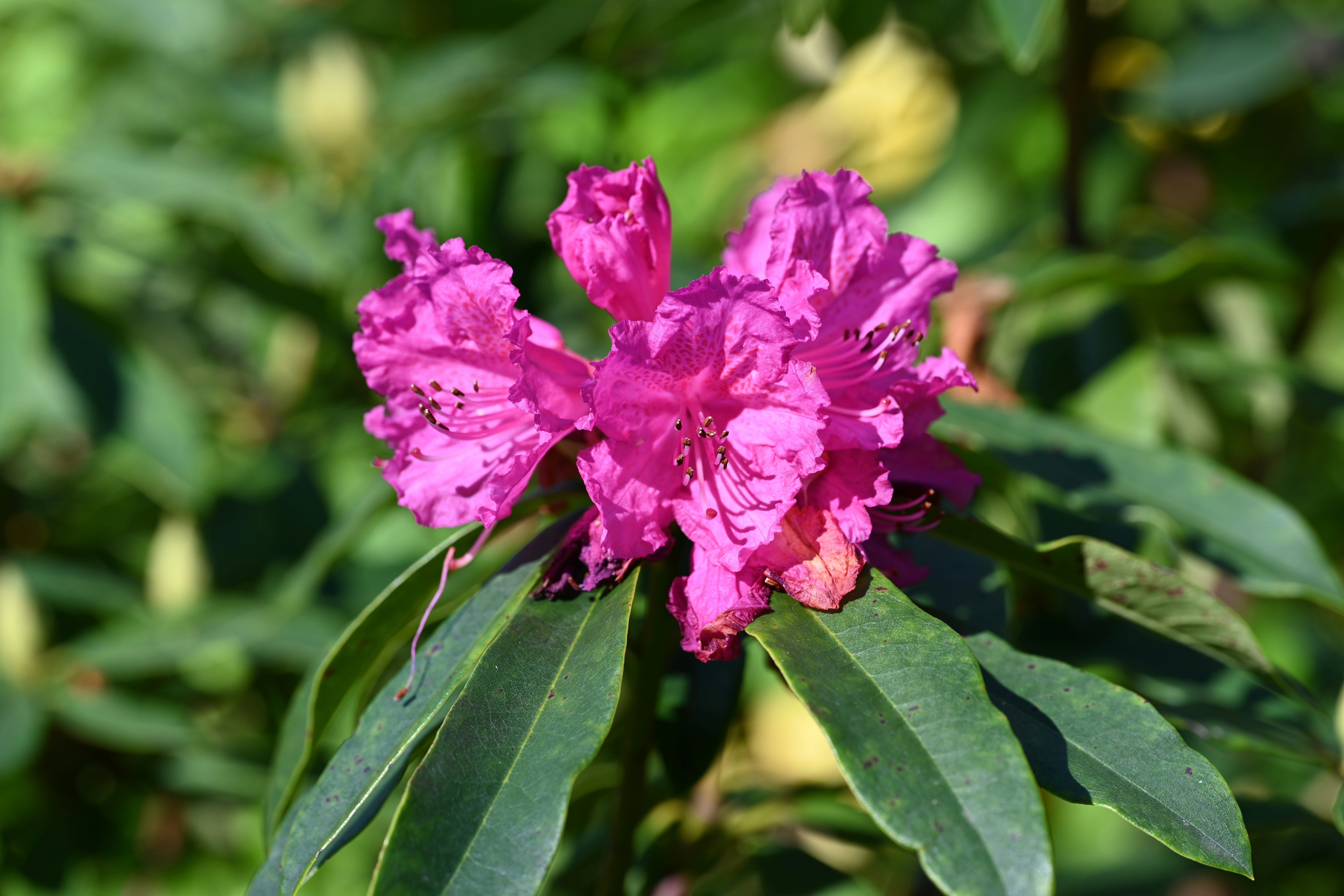 Photo by theunknownaldiaz