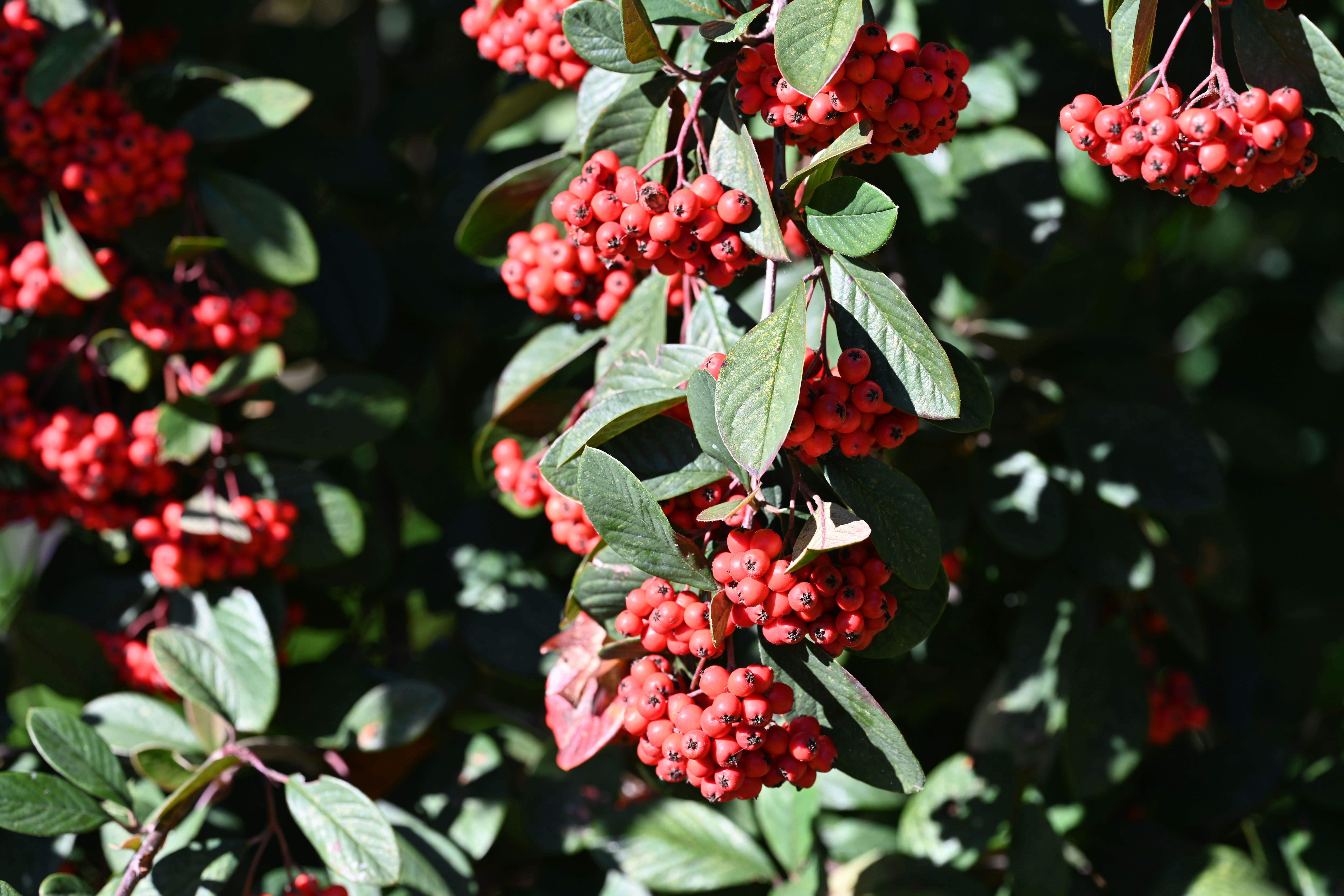 Photo by theunknownaldiaz