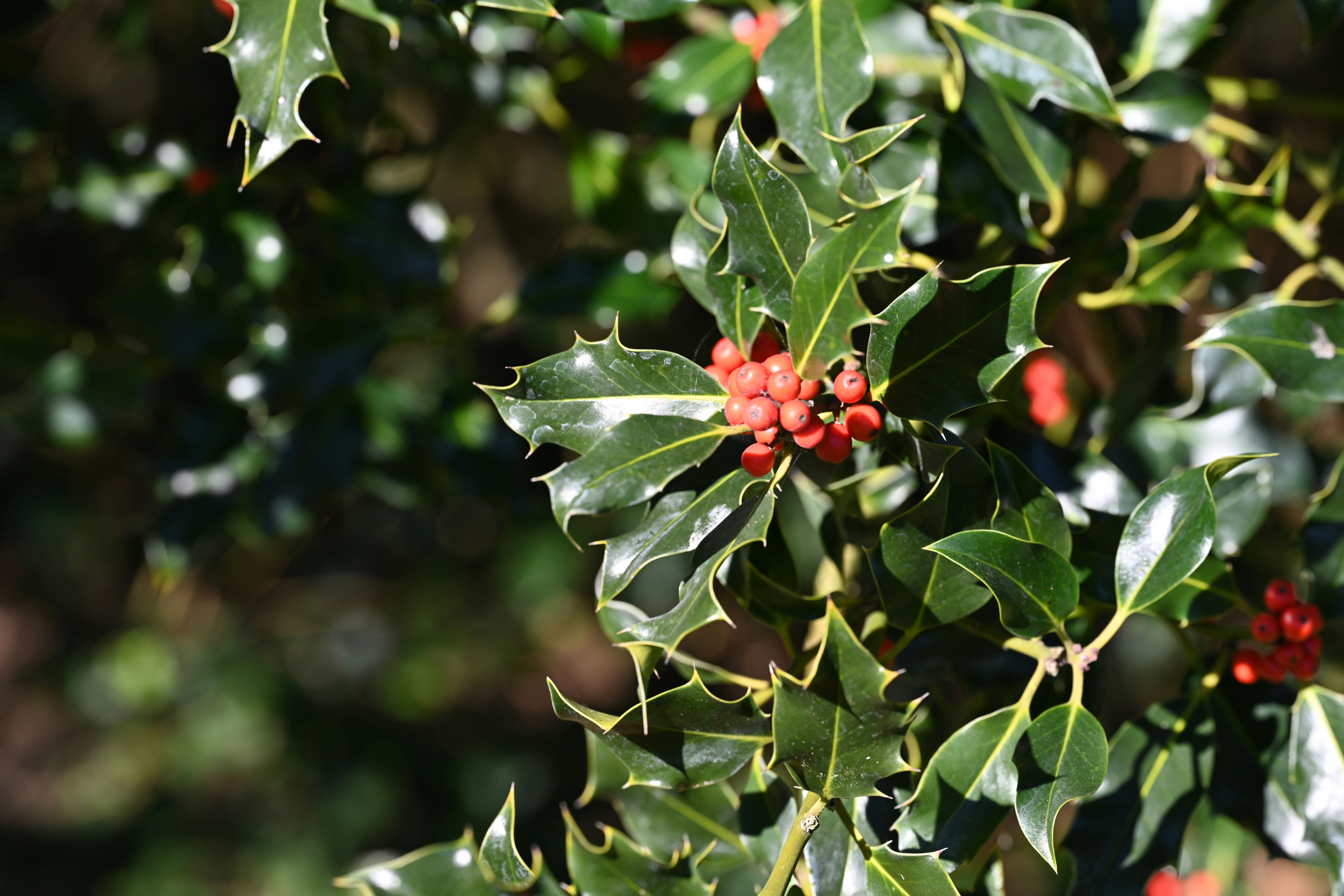 Photo by theunknownaldiaz