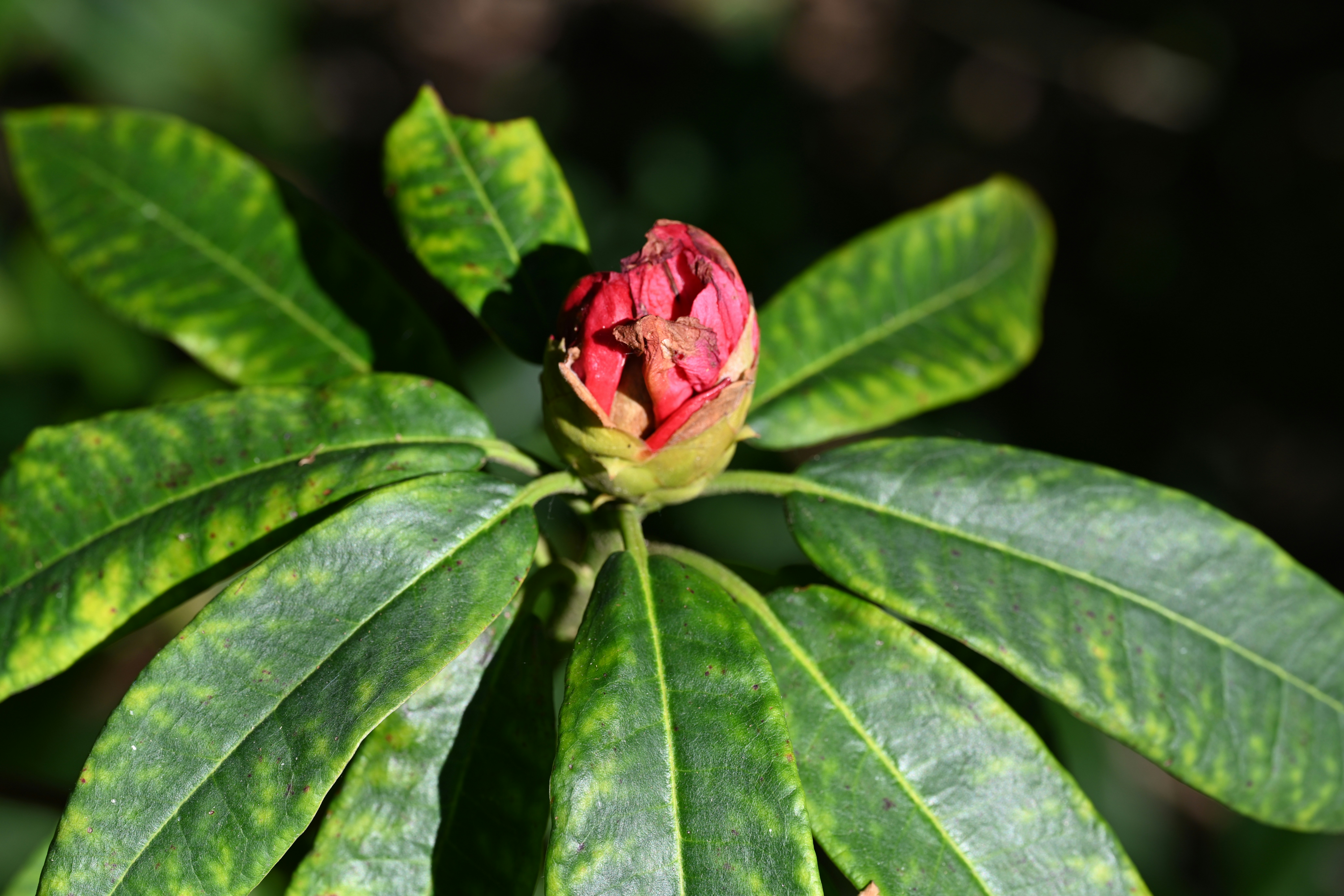 Photo by theunknownaldiaz