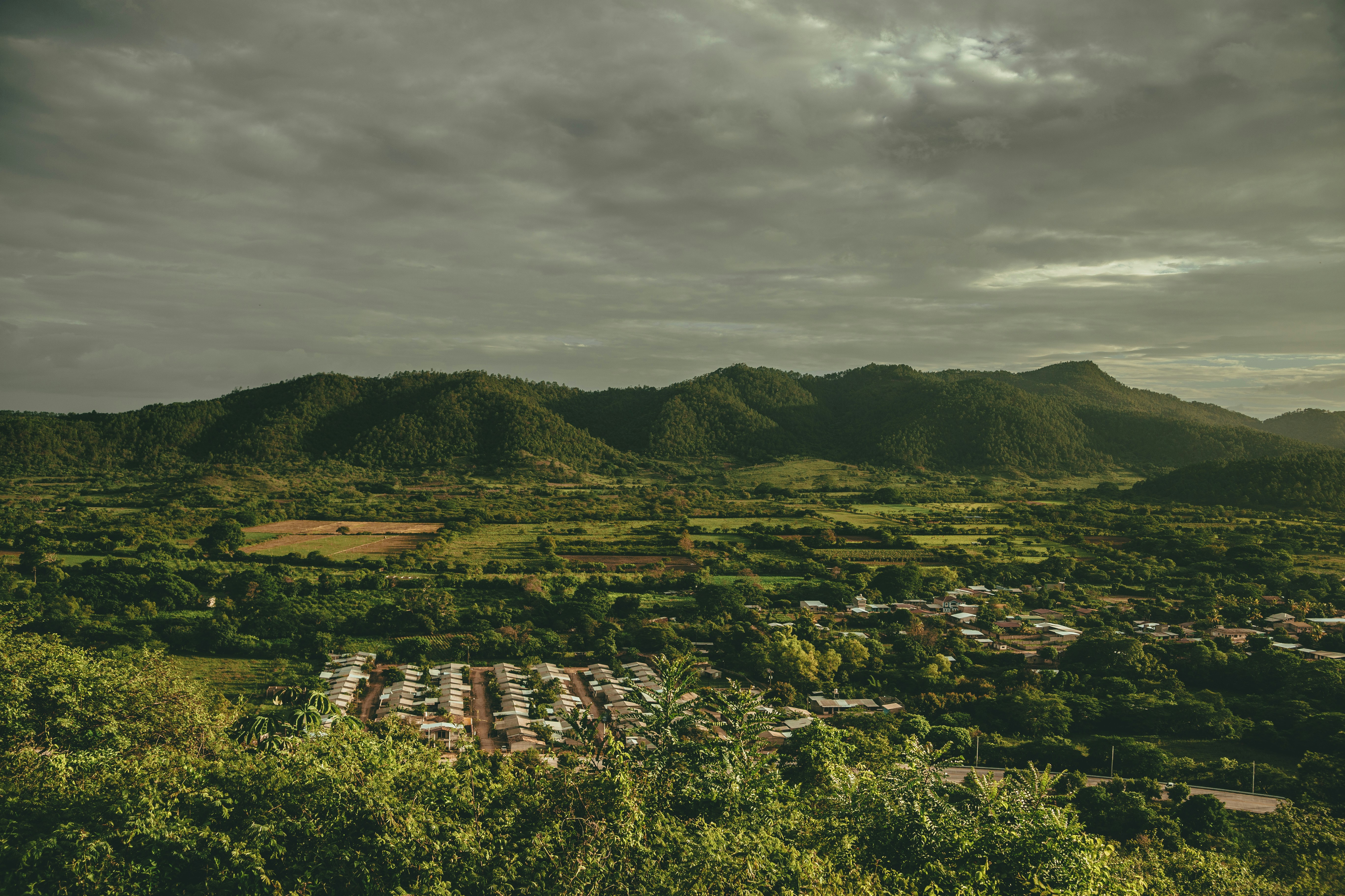 Cogstone Brewing Company