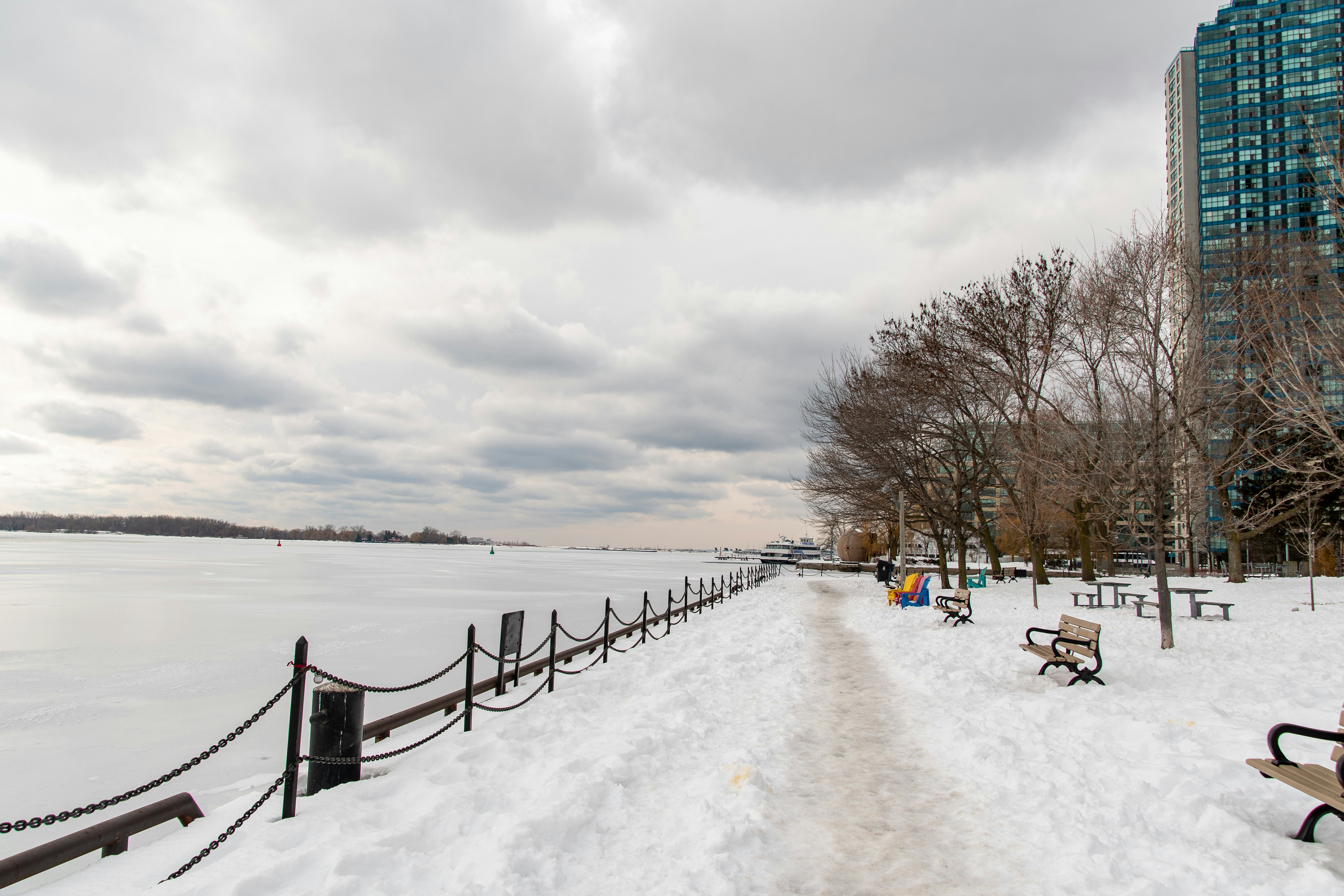 Bellamy Dog Park