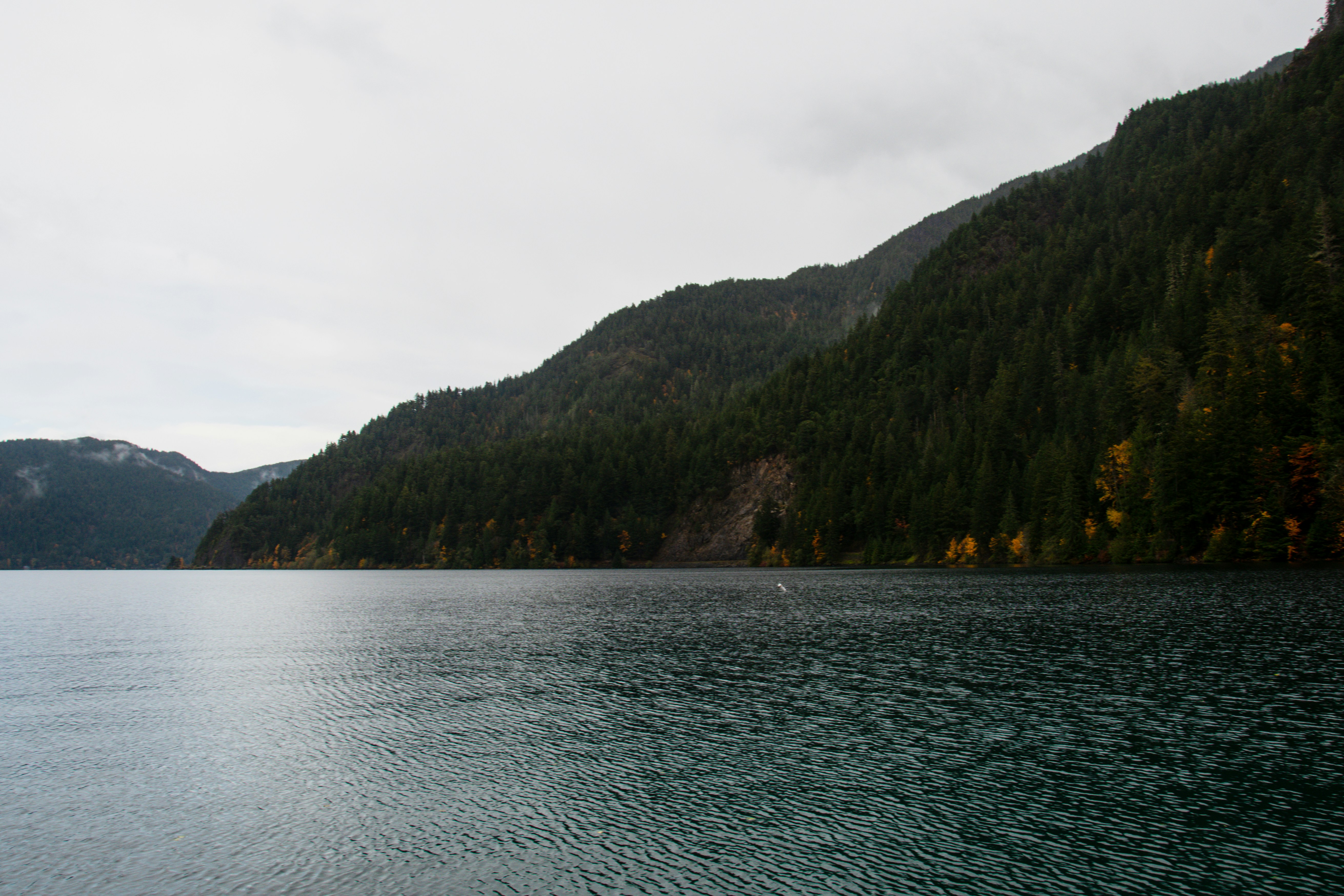 Photo by jackcharles