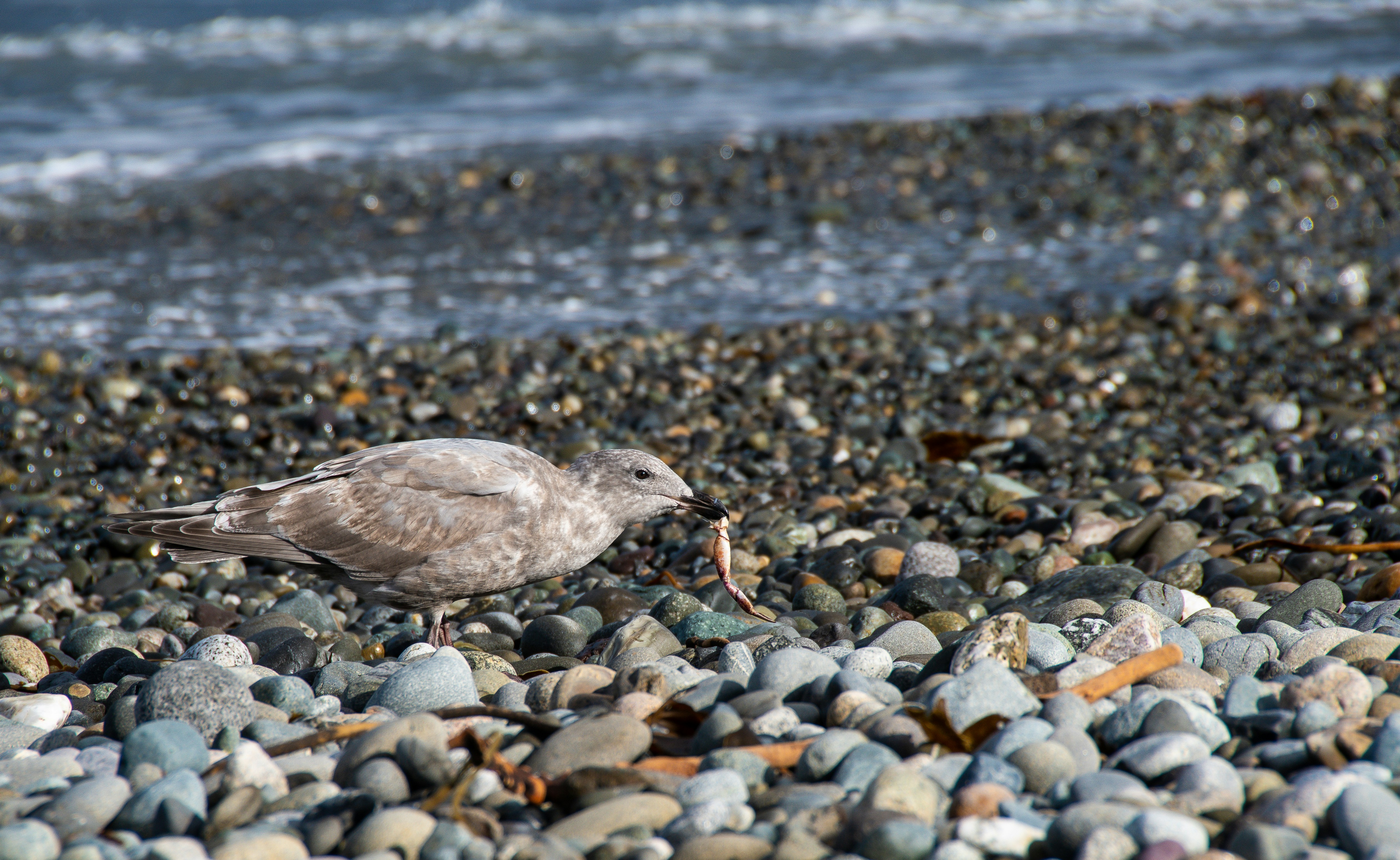 Photo by jackcharles