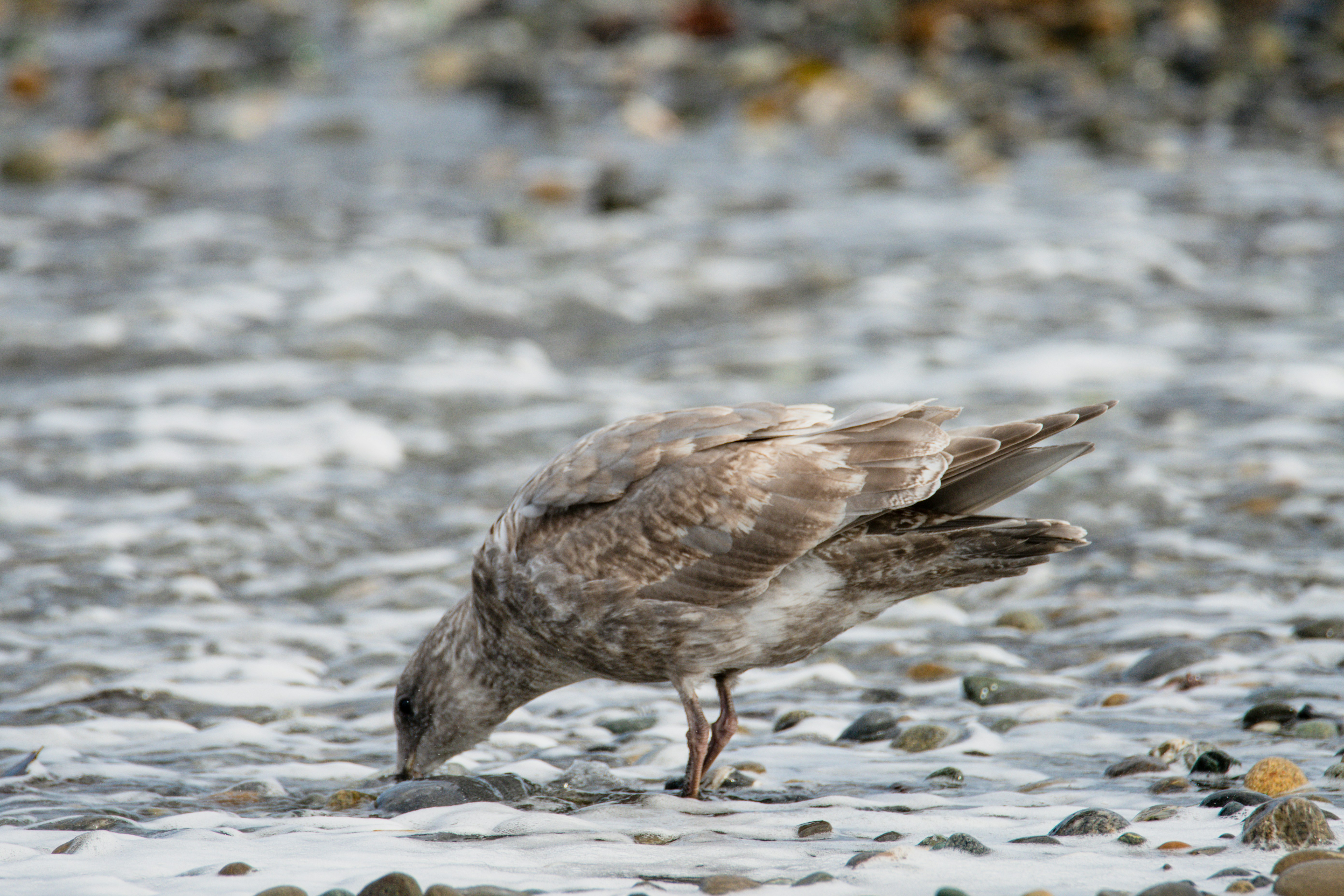 Photo by jackcharles