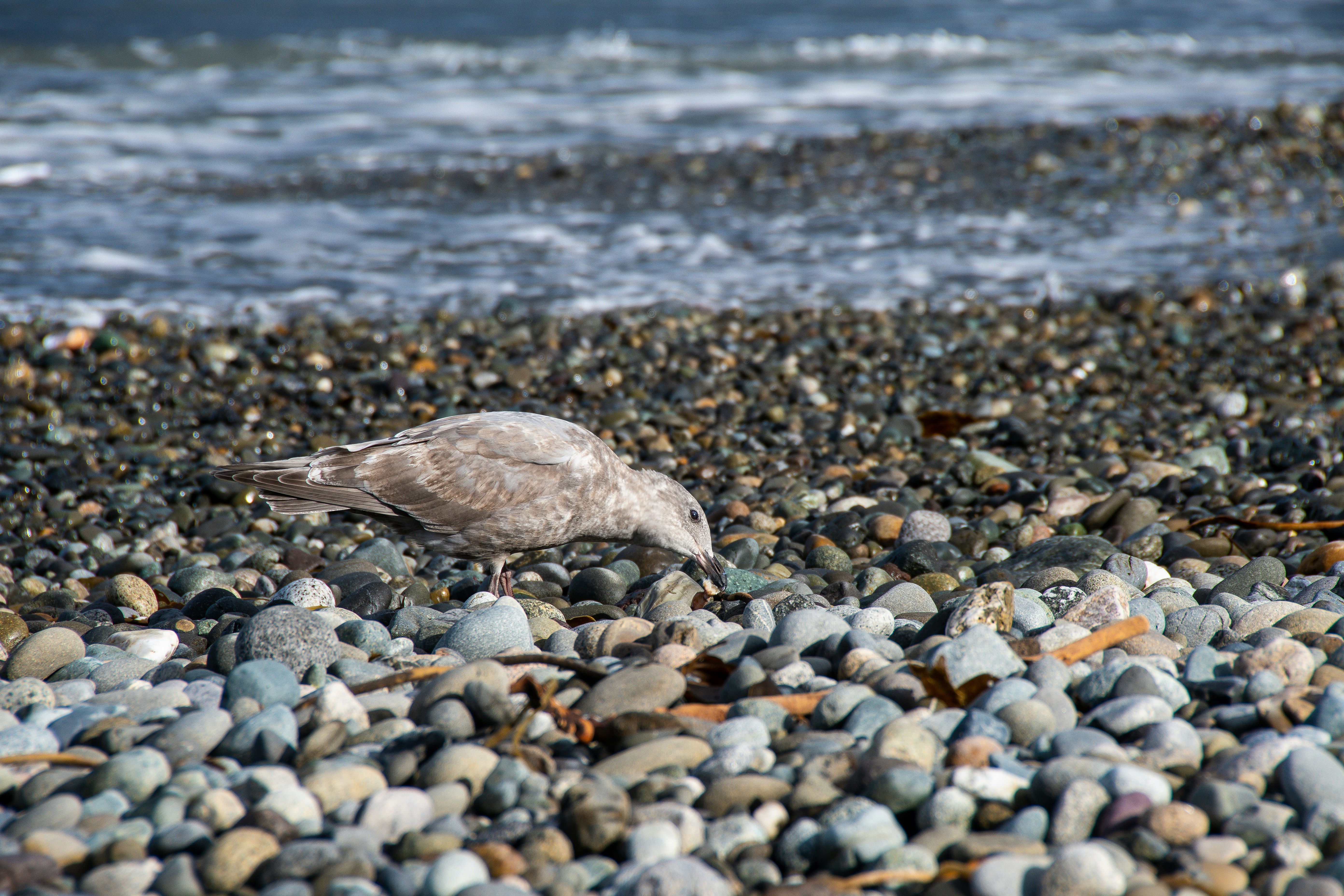 Photo by jackcharles