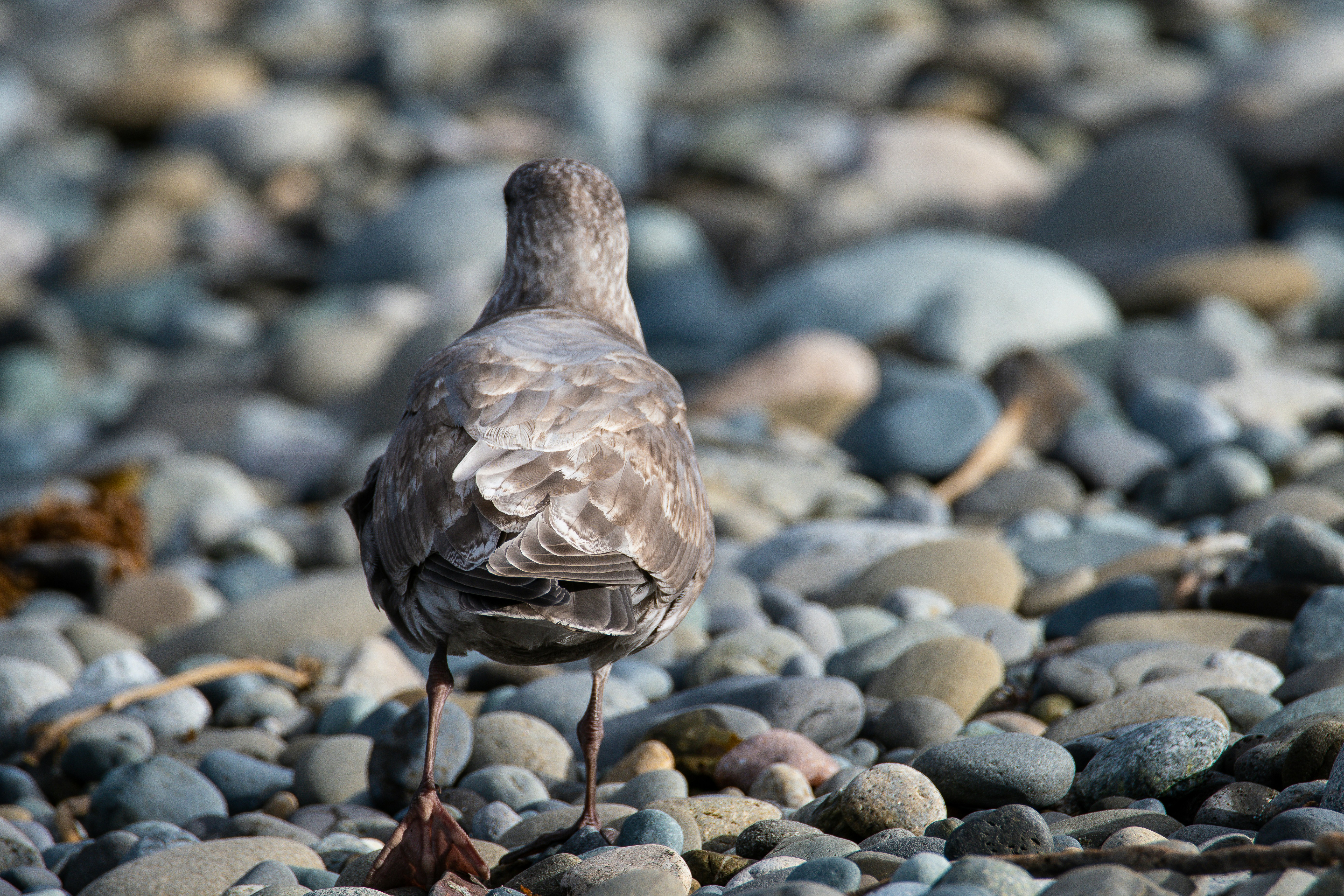 Photo by jackcharles