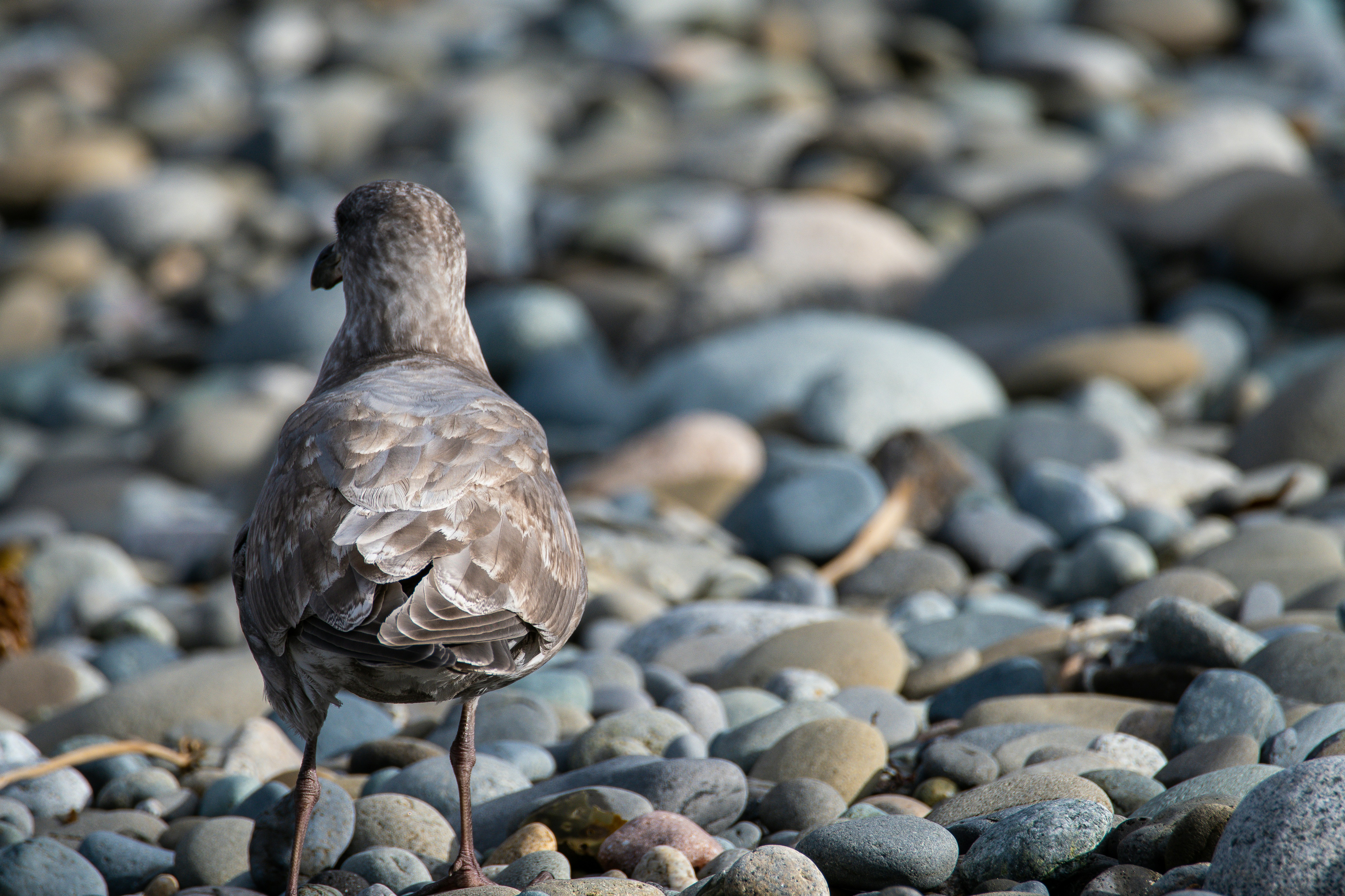 Photo by jackcharles