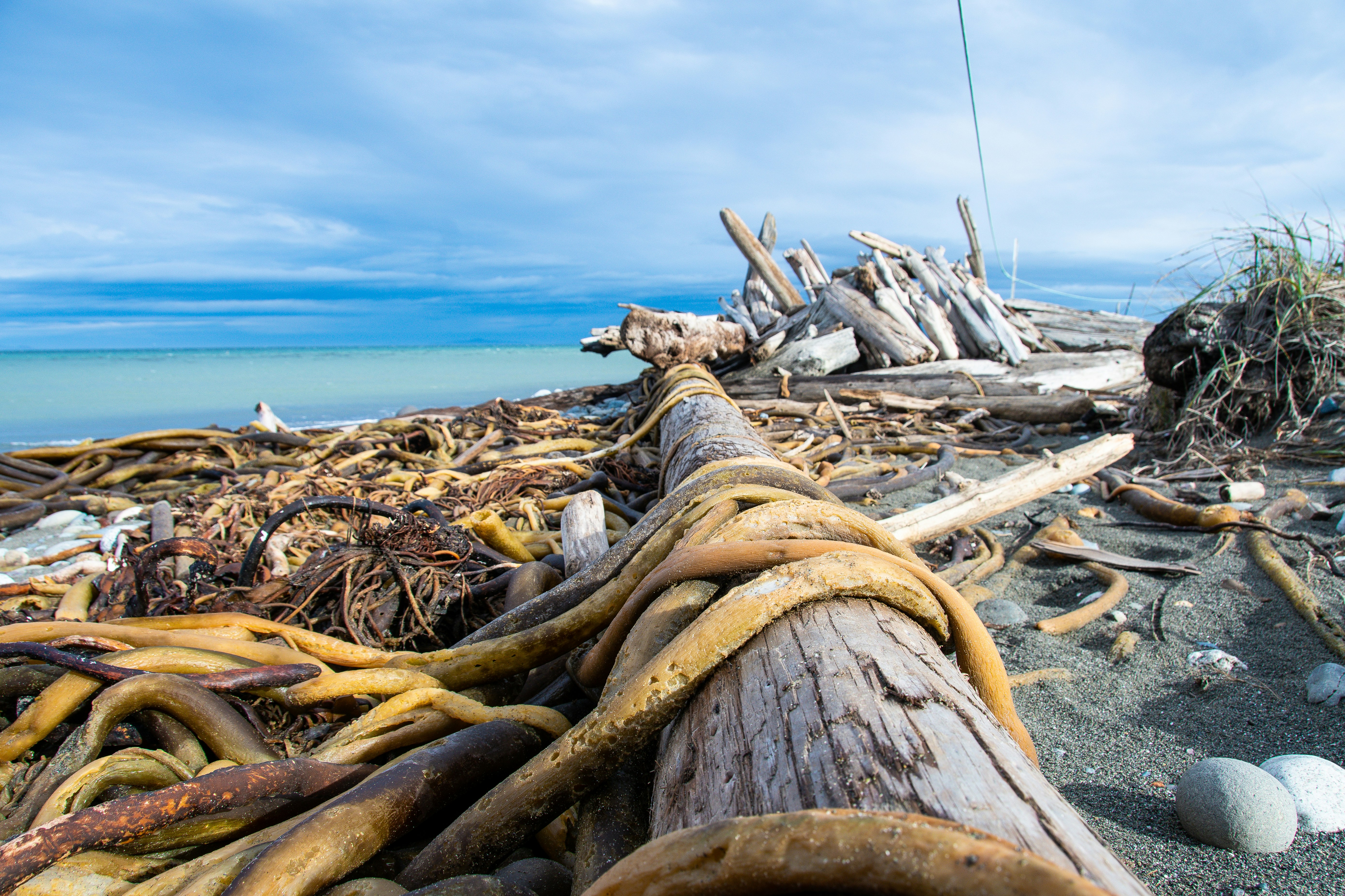 Photo by jackcharles