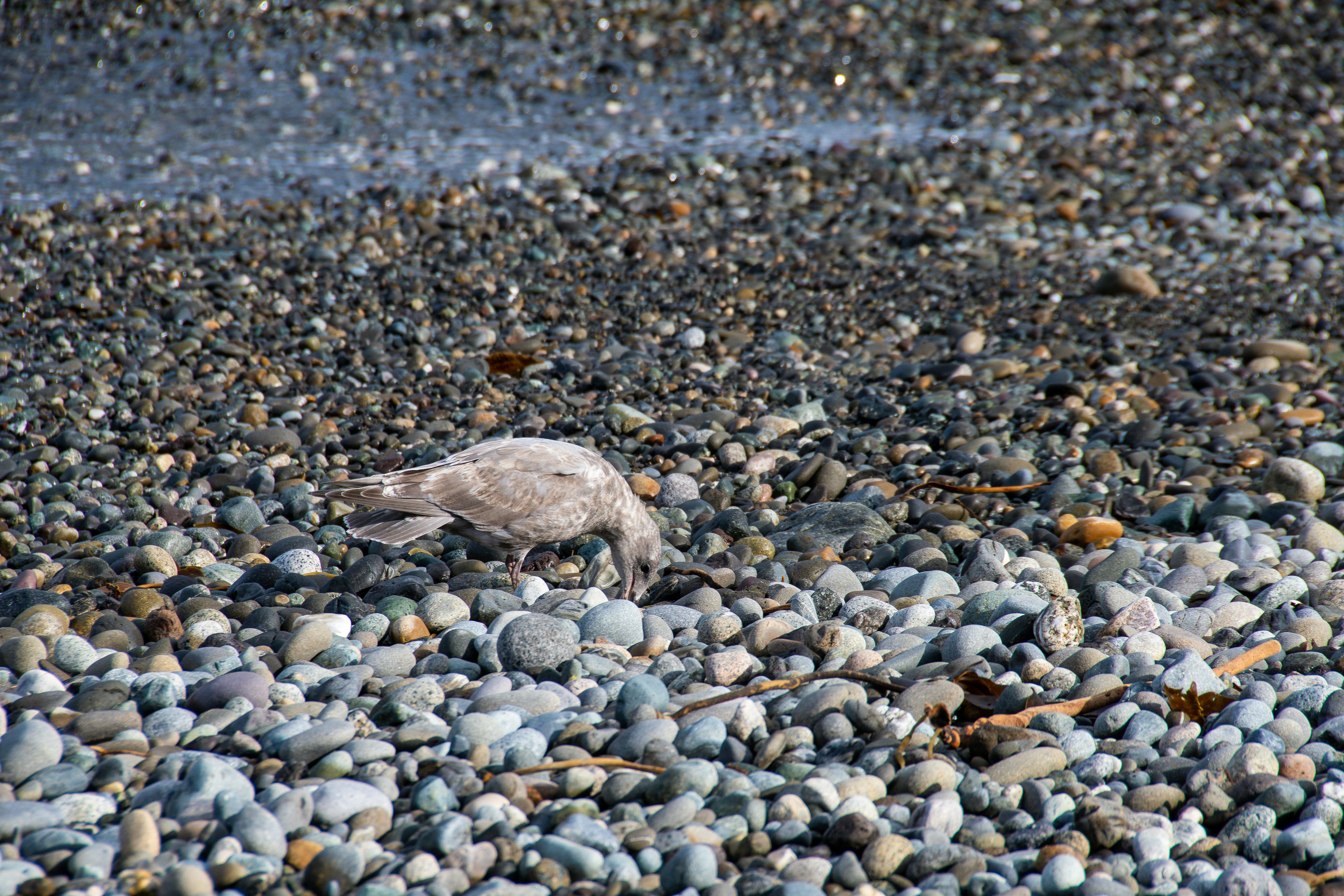 Photo by jackcharles