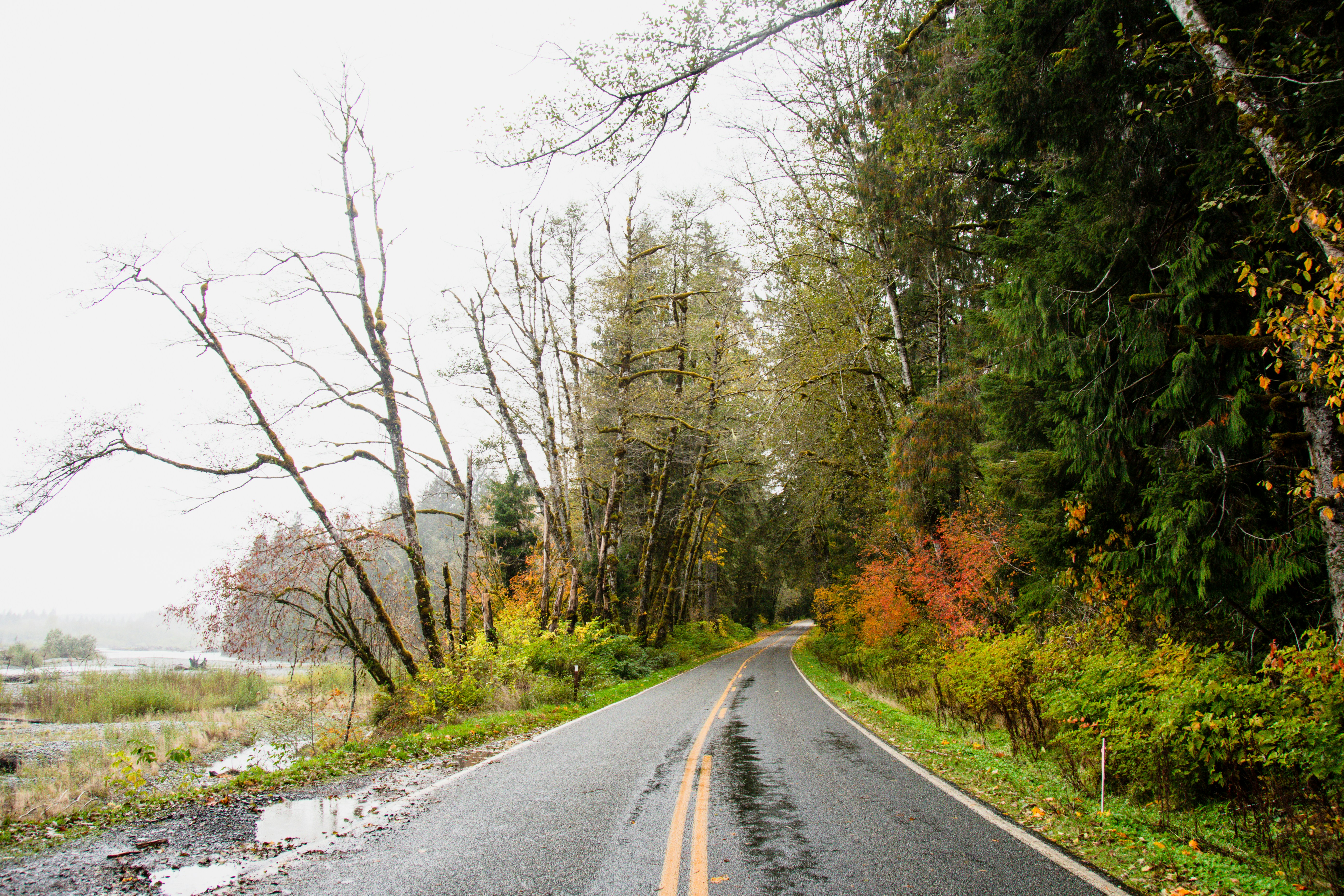 Photo by jackcharles