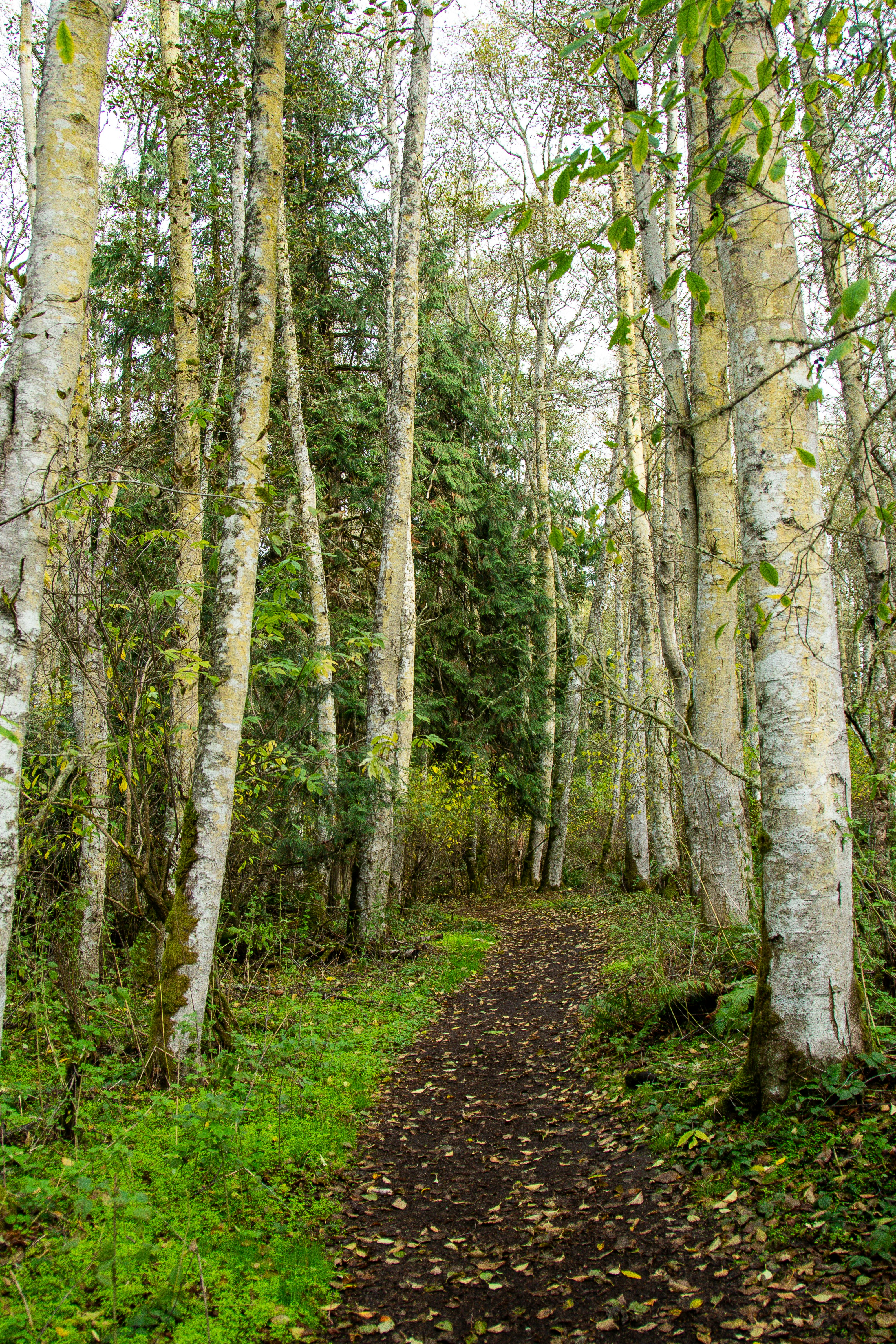 Photo by jackcharles