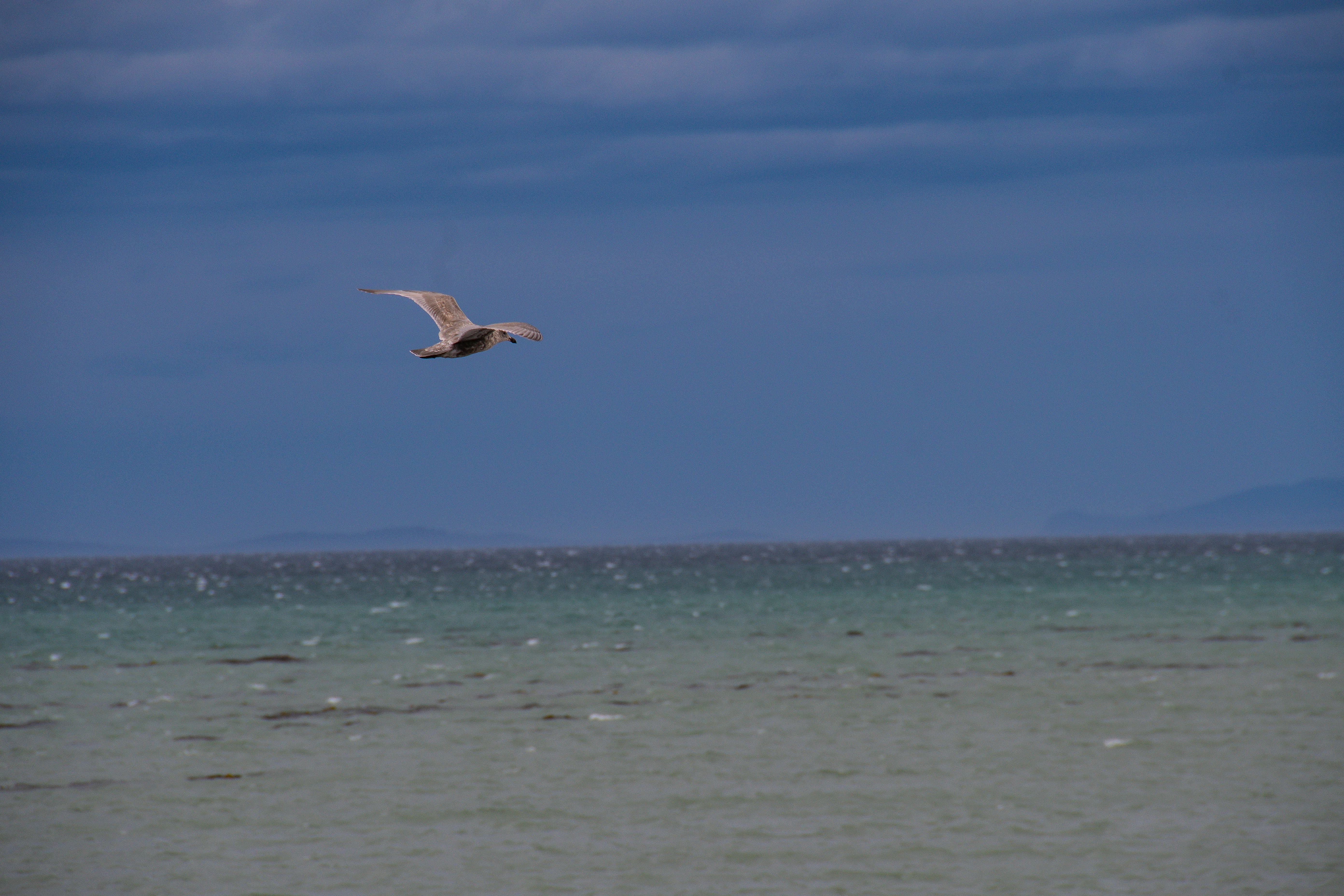 Photo by jackcharles