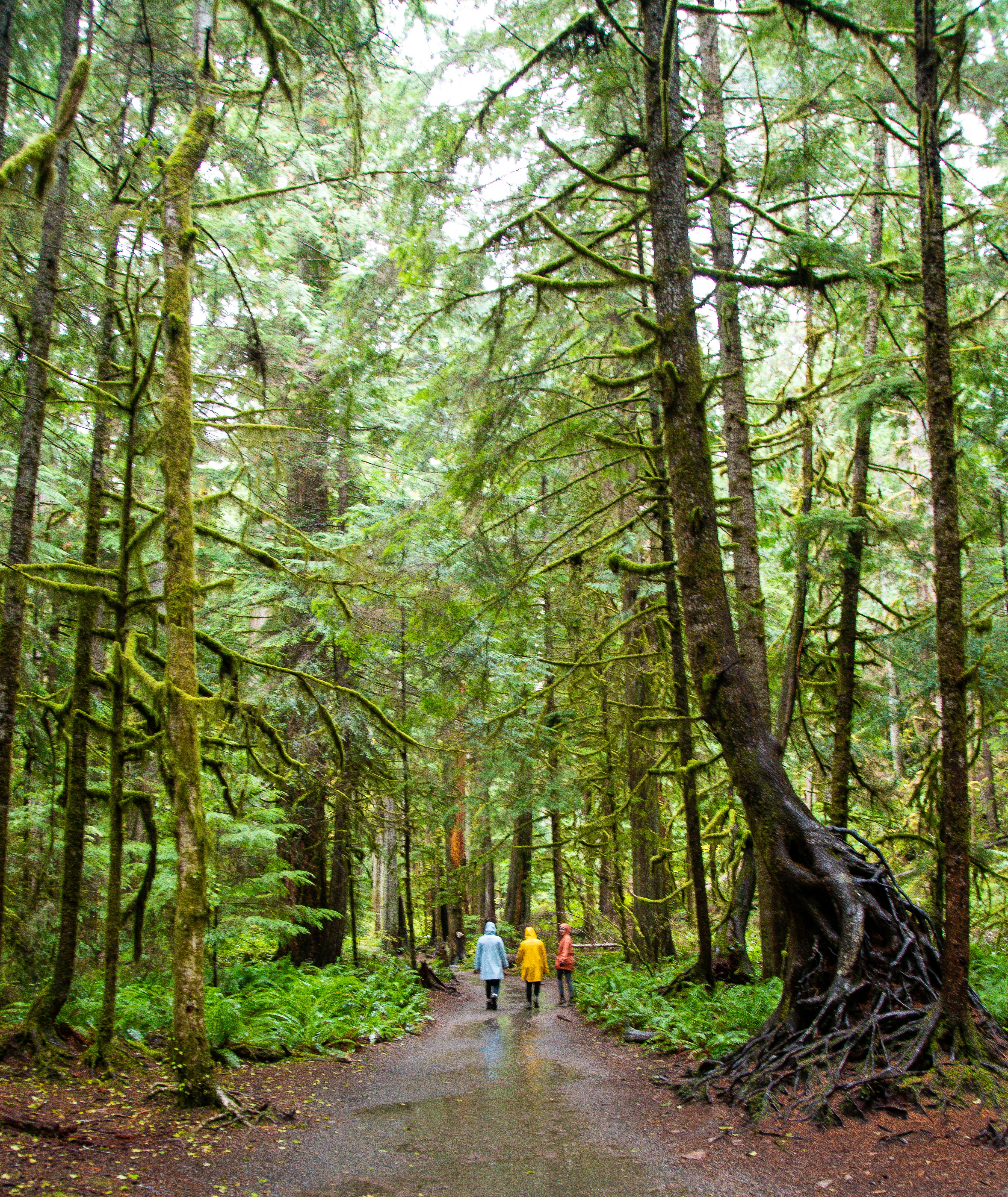 Photo by jackcharles