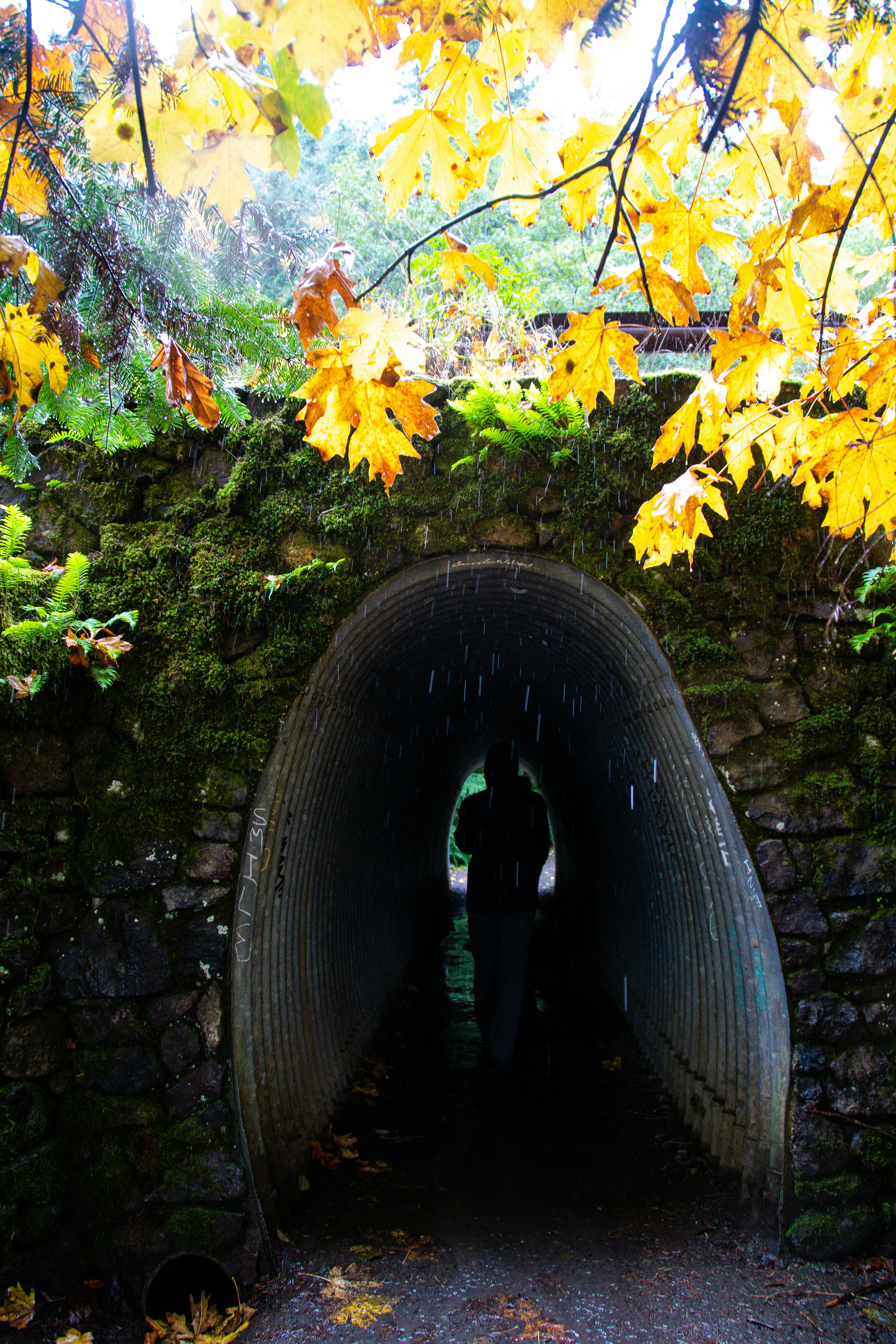 Photo by jackcharles