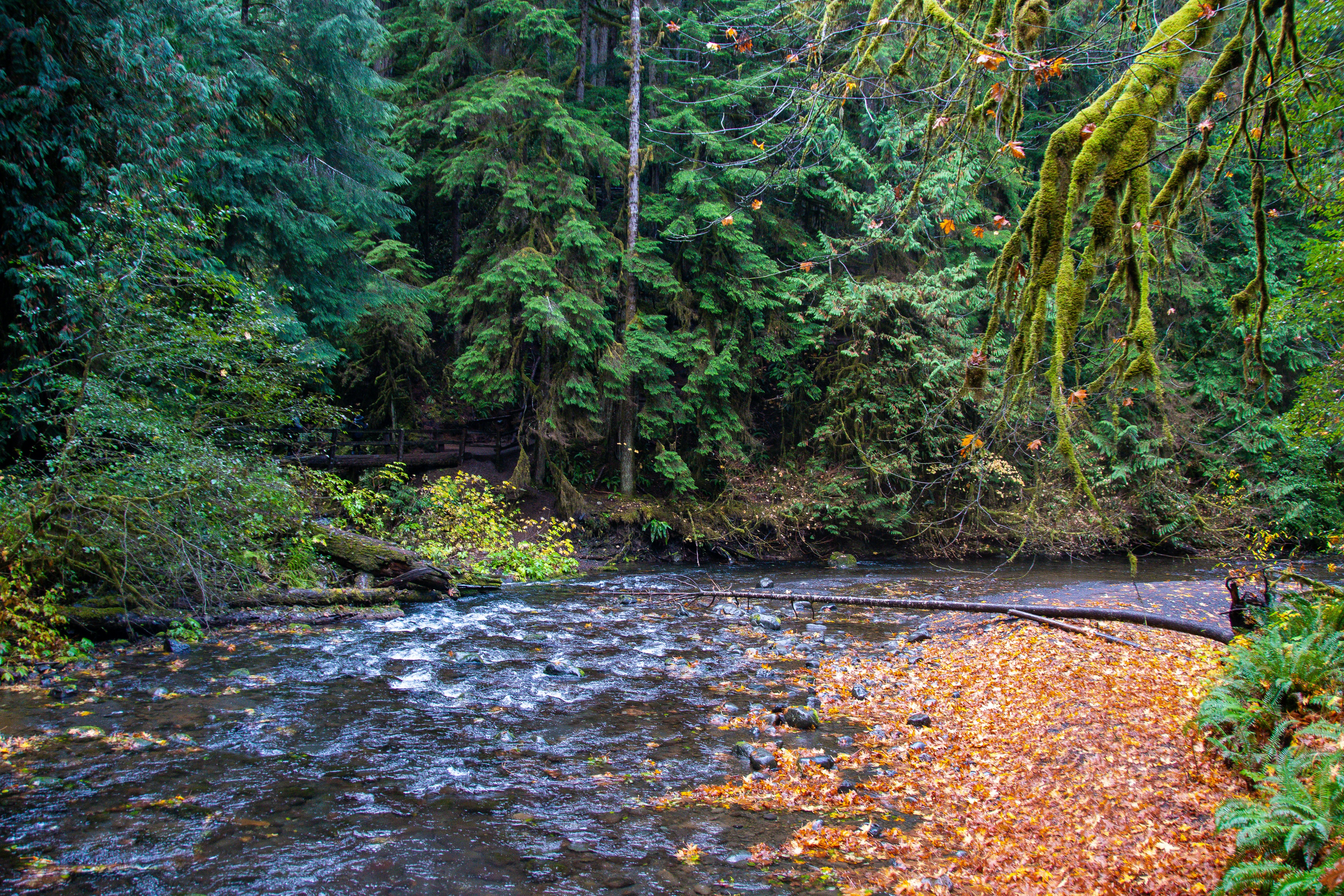 Photo by jackcharles