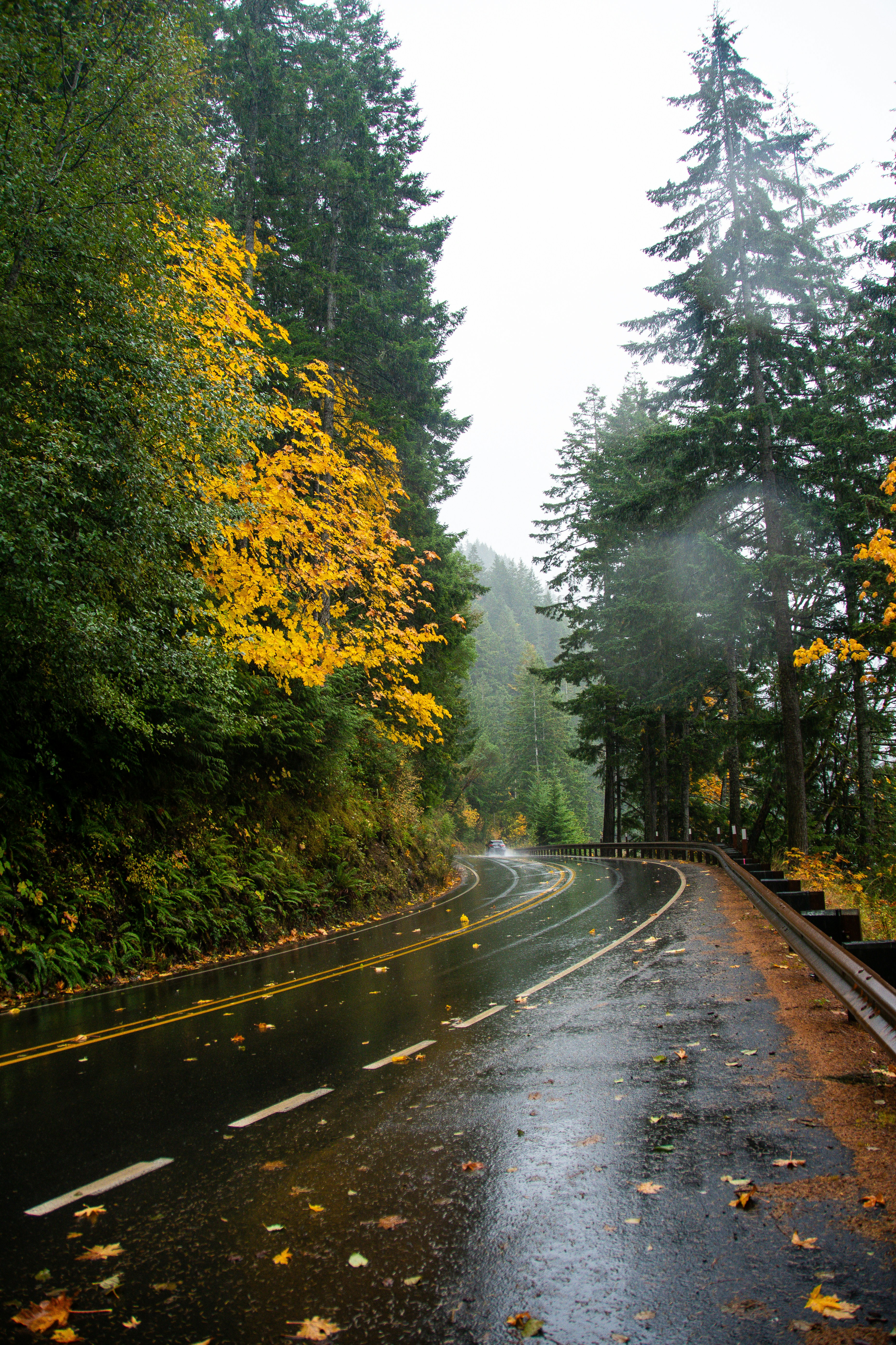 Photo by jackcharles