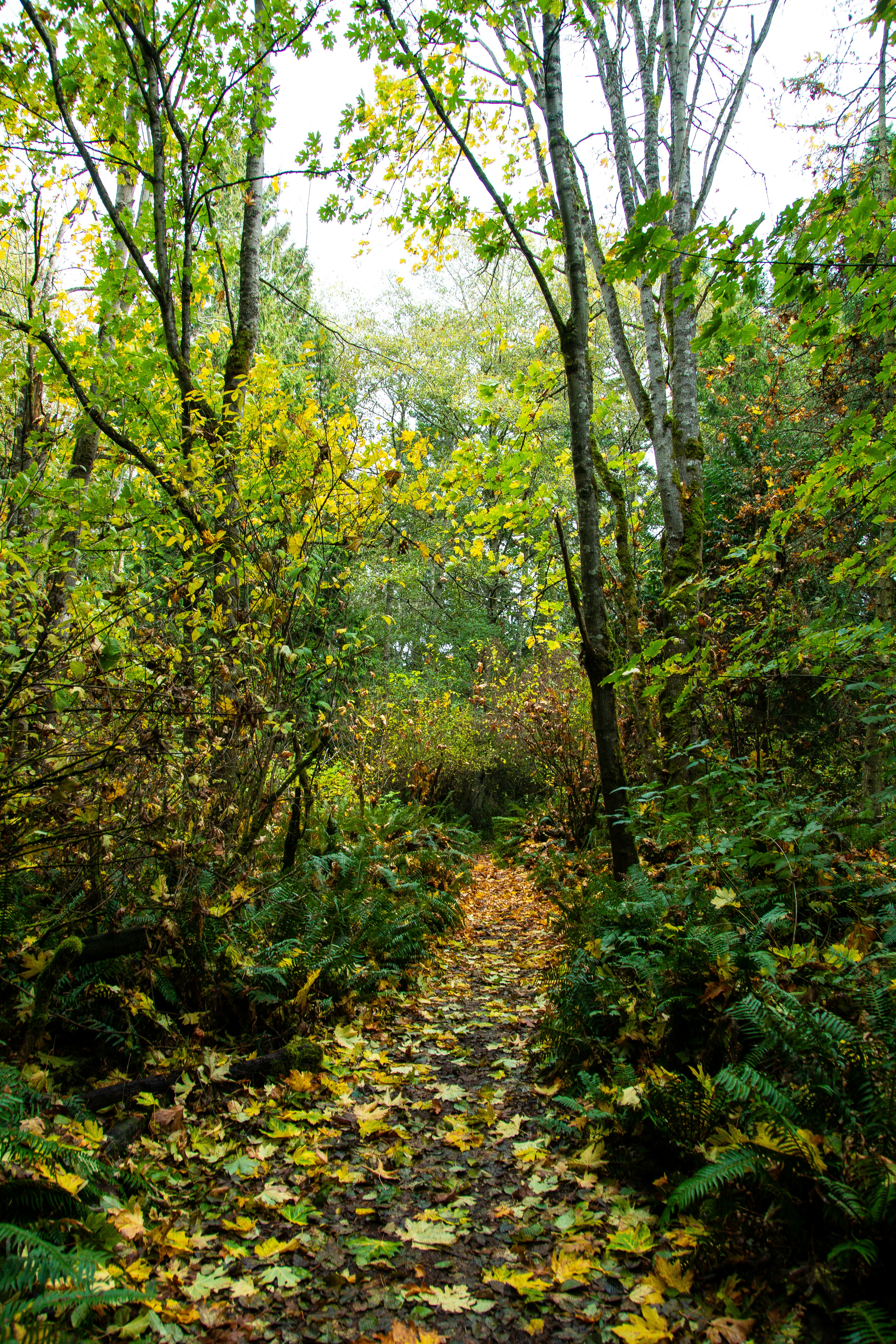 Photo by jackcharles